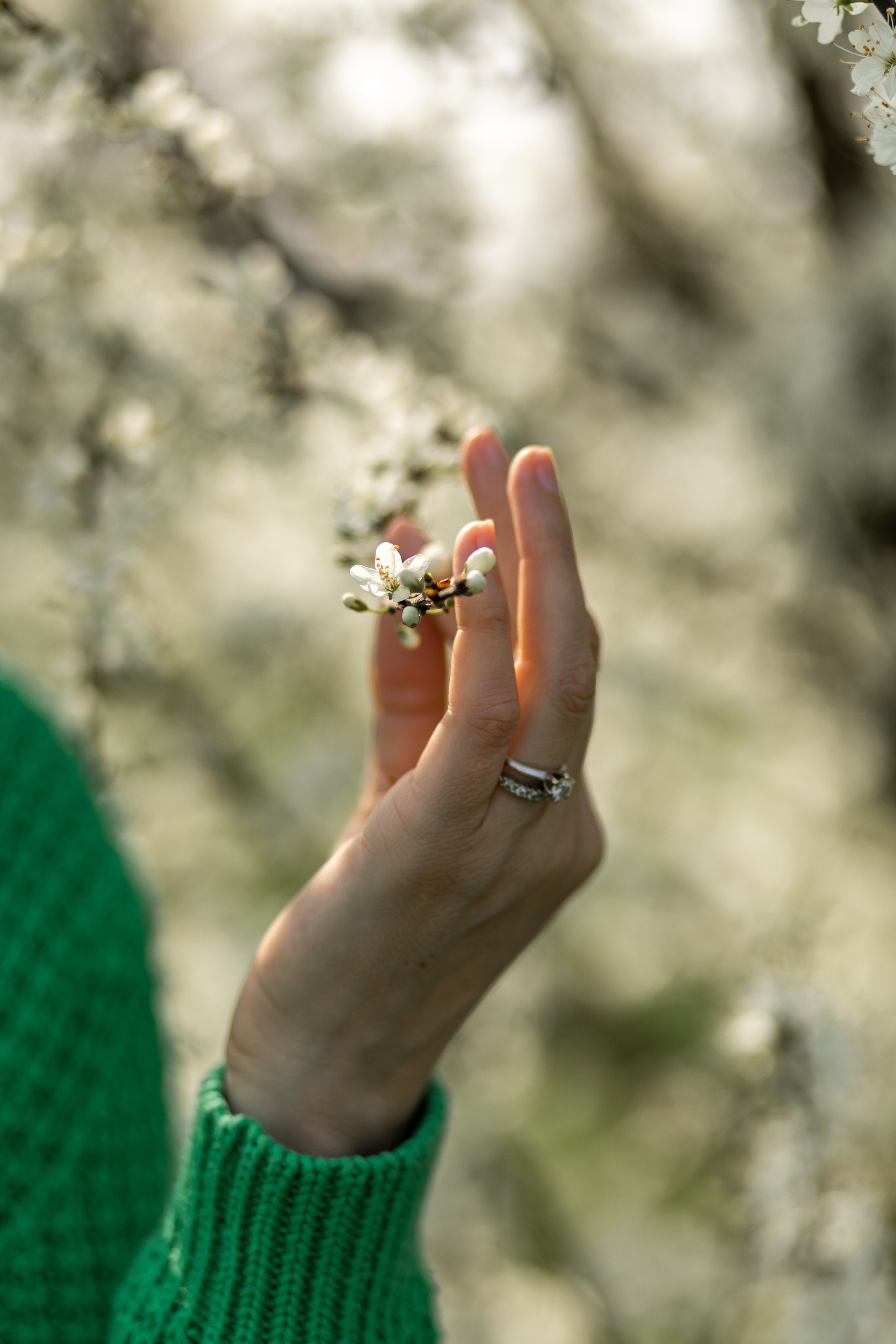 Elena_21.03.24. Фотограф Ольга Вороніщева