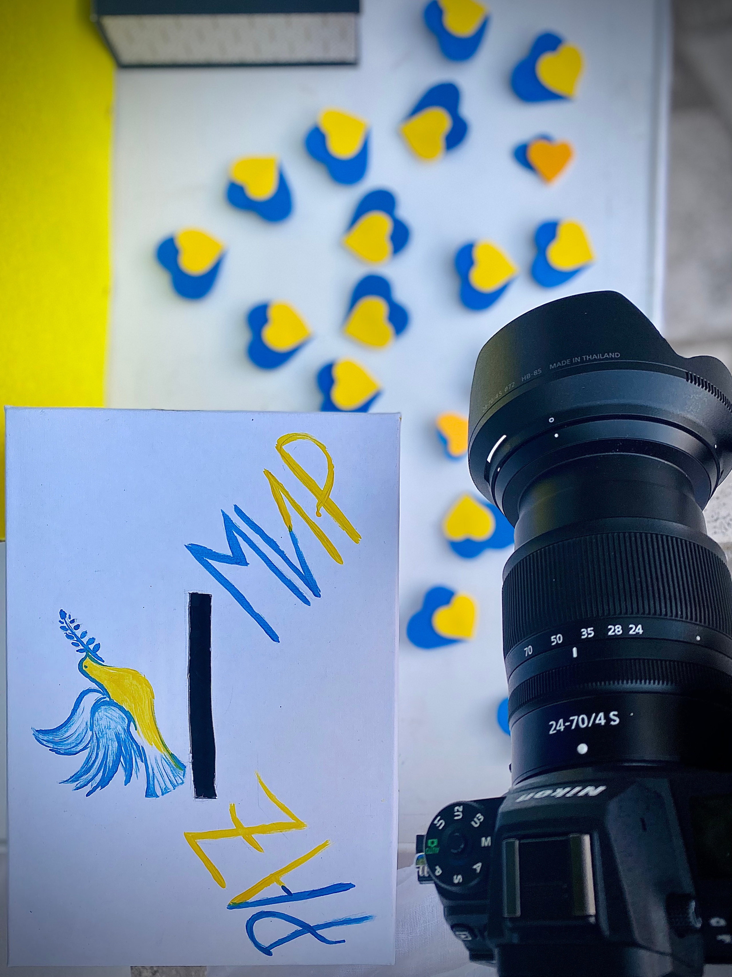 SOLIDARIDAD CON UCRANIA. Фотограф Марія Якимичева