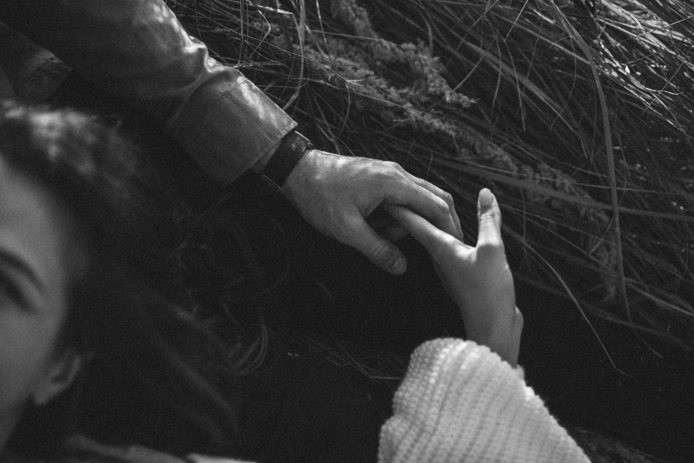 СЕРПНЕВА ІСТОРІЯ. MILANA NIKONENKO весільний та сіймейний фотограф