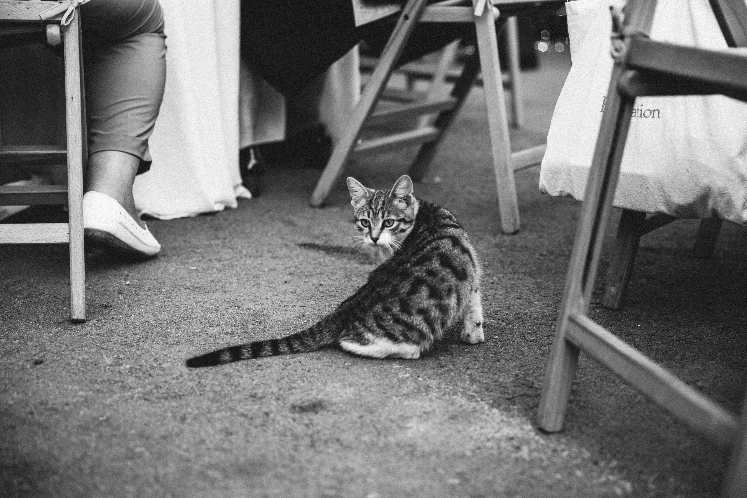 Wedding Wood Cottege. MILANA NIKONENKO весільний та сіймейний фотограф