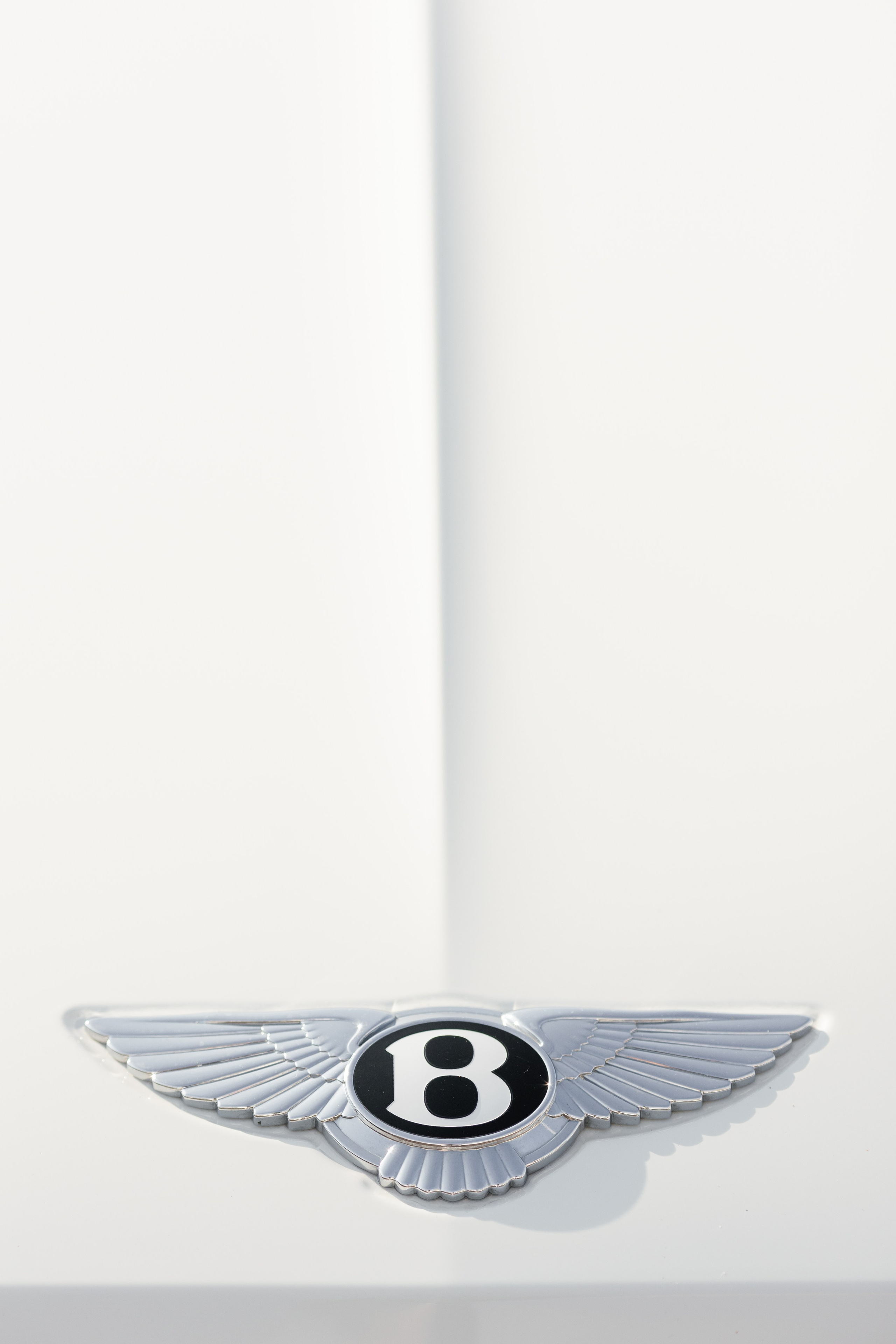 PRODUKT. Hochzeitsfotografin Brovdi Elvira