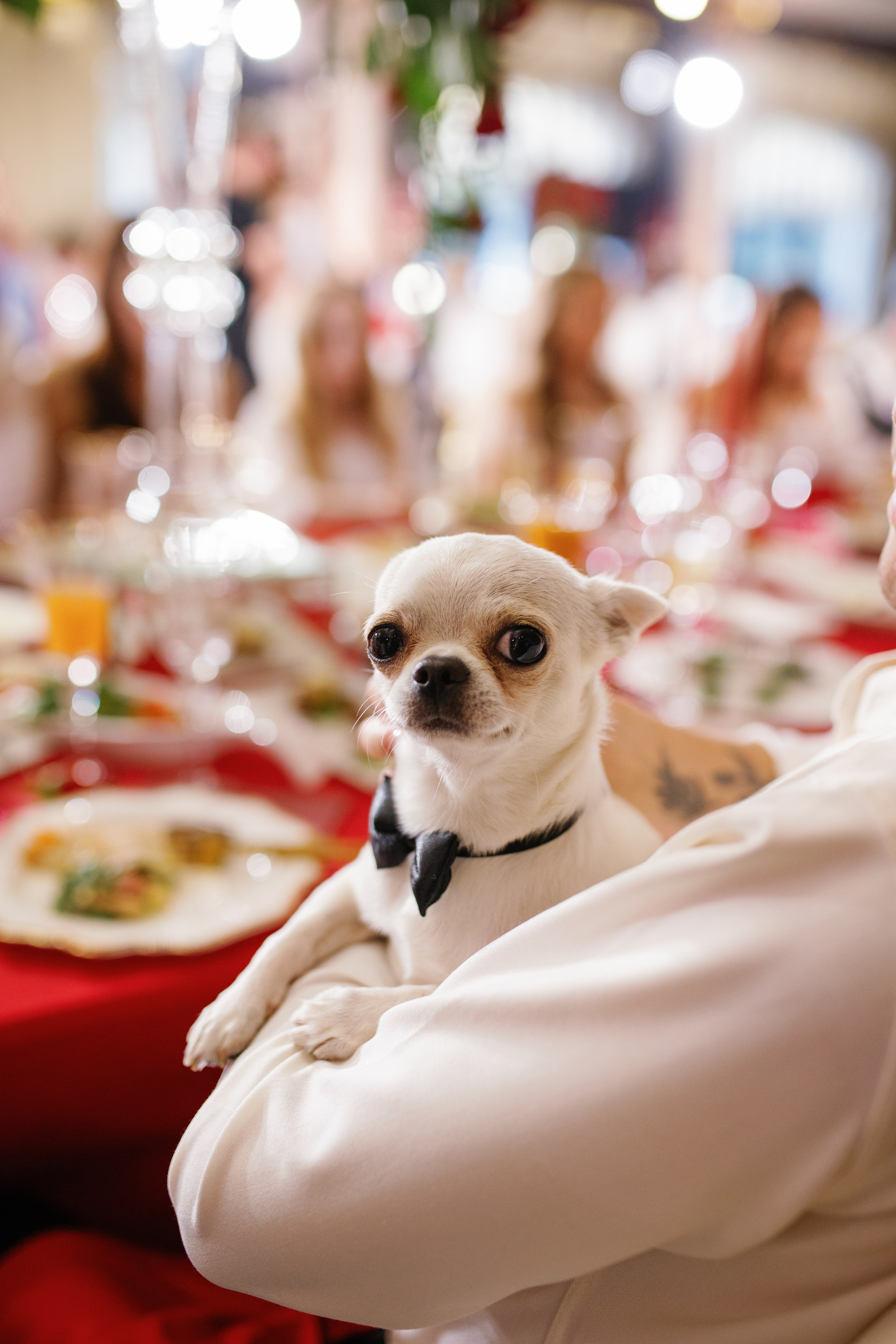 Vladislav & Maria (Ukraine). Wedding photographer Elvira Brovdi