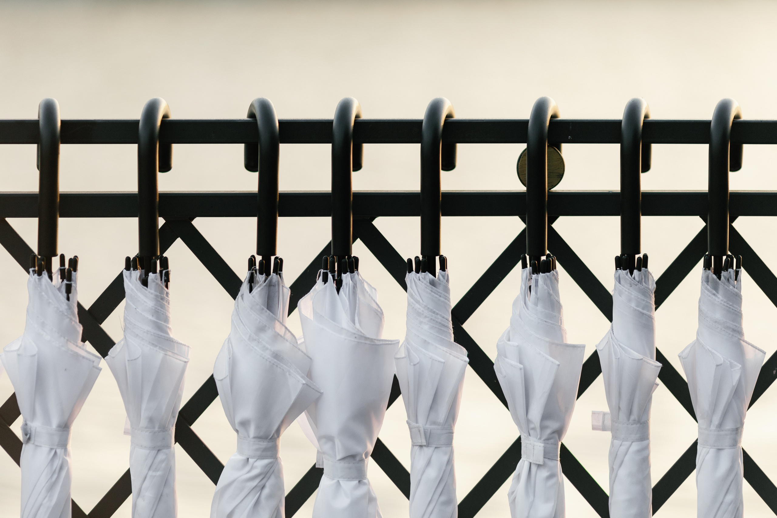 Vladislav & Maria (Ukraine). Wedding photographer Elvira Brovdi