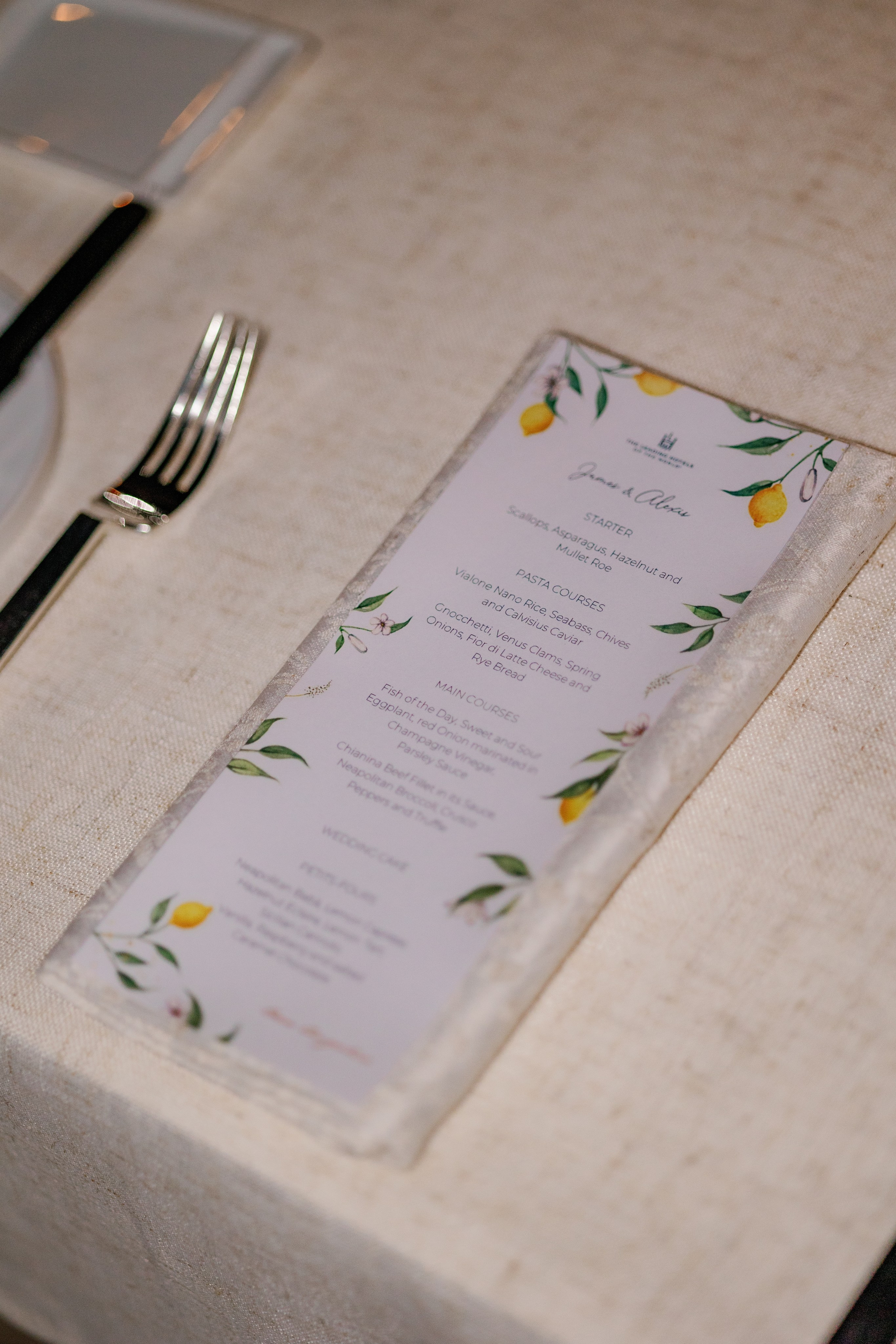 Positano wedding photographer. Wedding photographer Elvira Brovdi