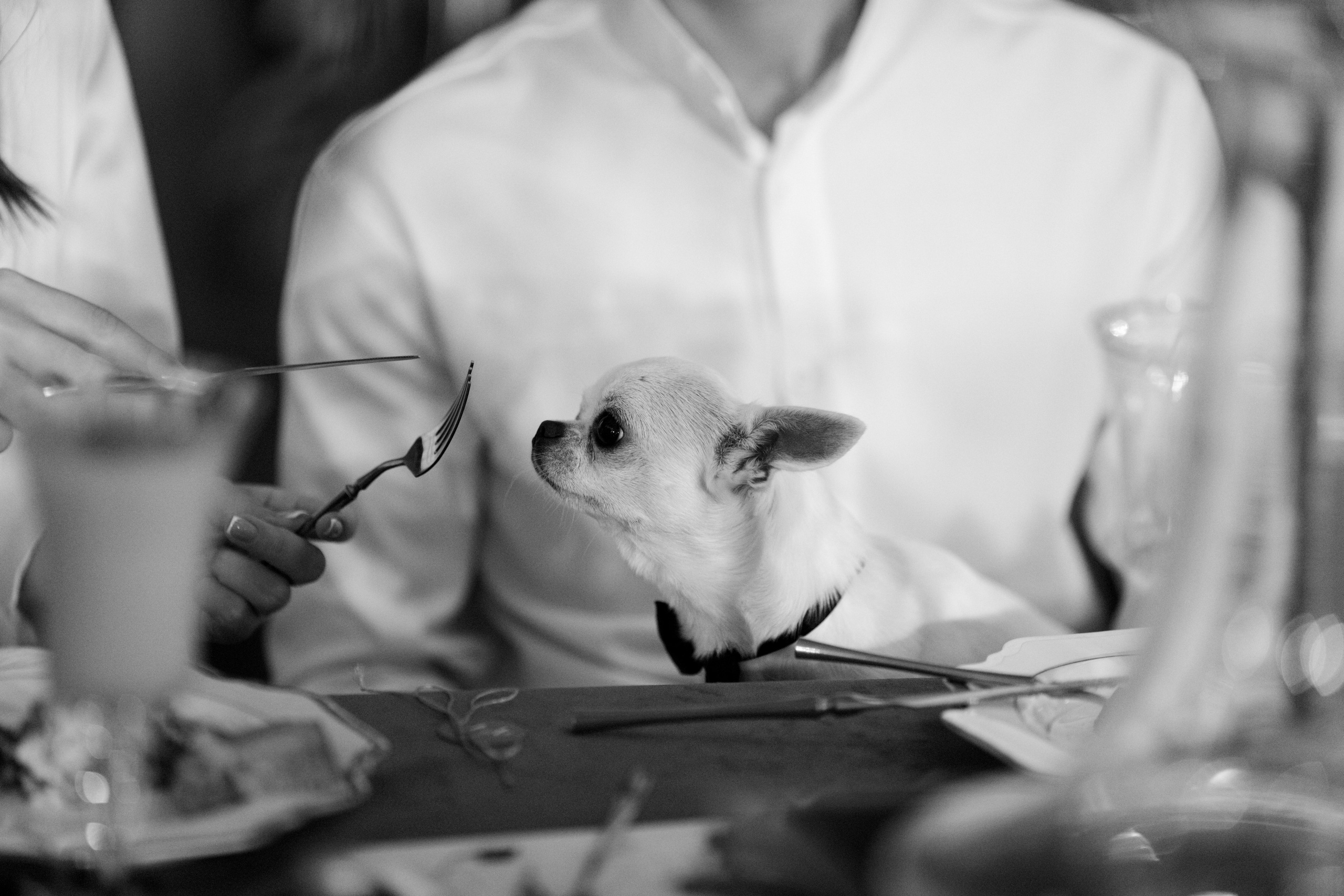 Vladislav & Maria (Ukraine). Wedding photographer Elvira Brovdi