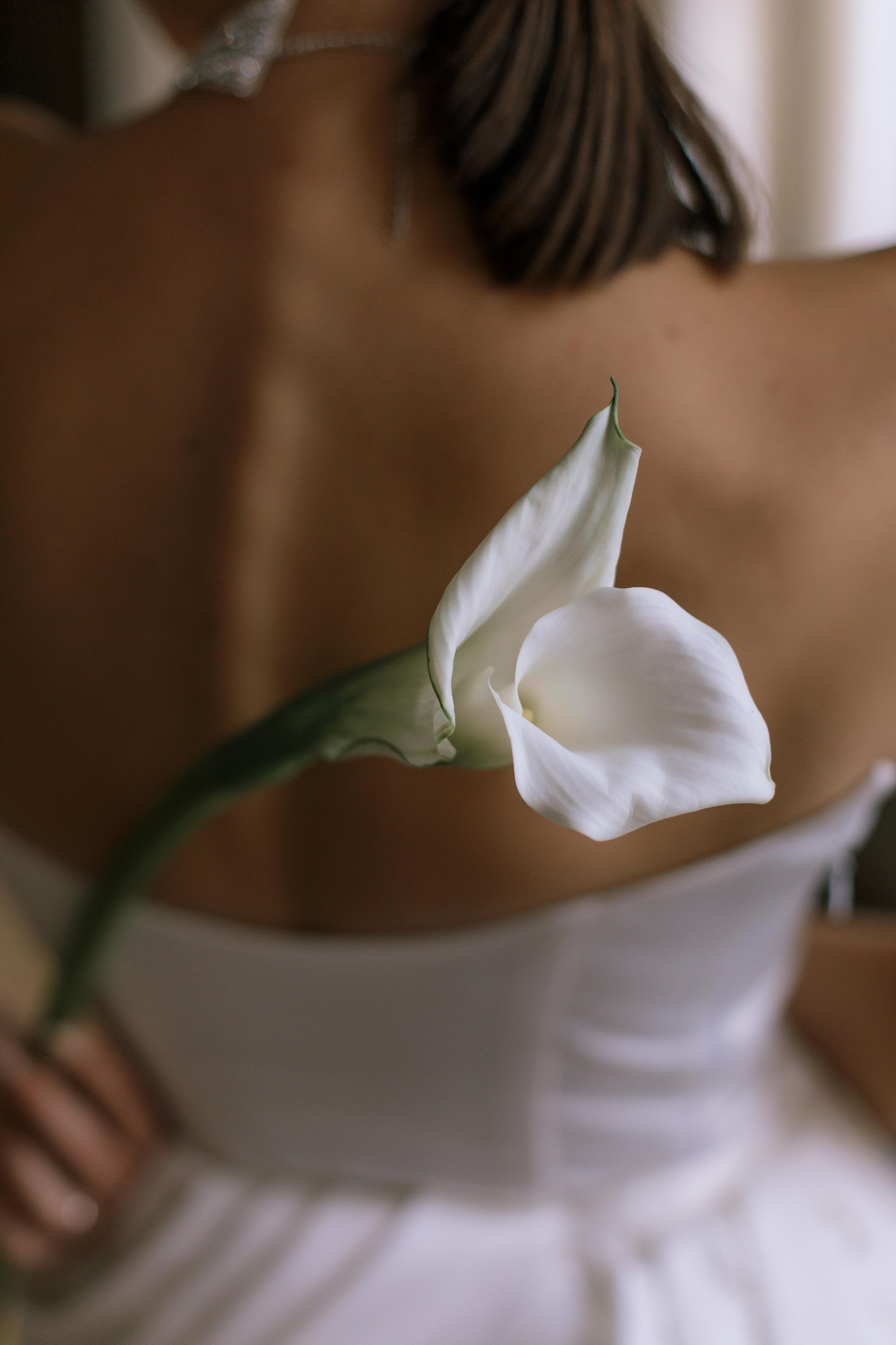 Vladimir & Victoria. Wedding photographer Elvira Brovdi