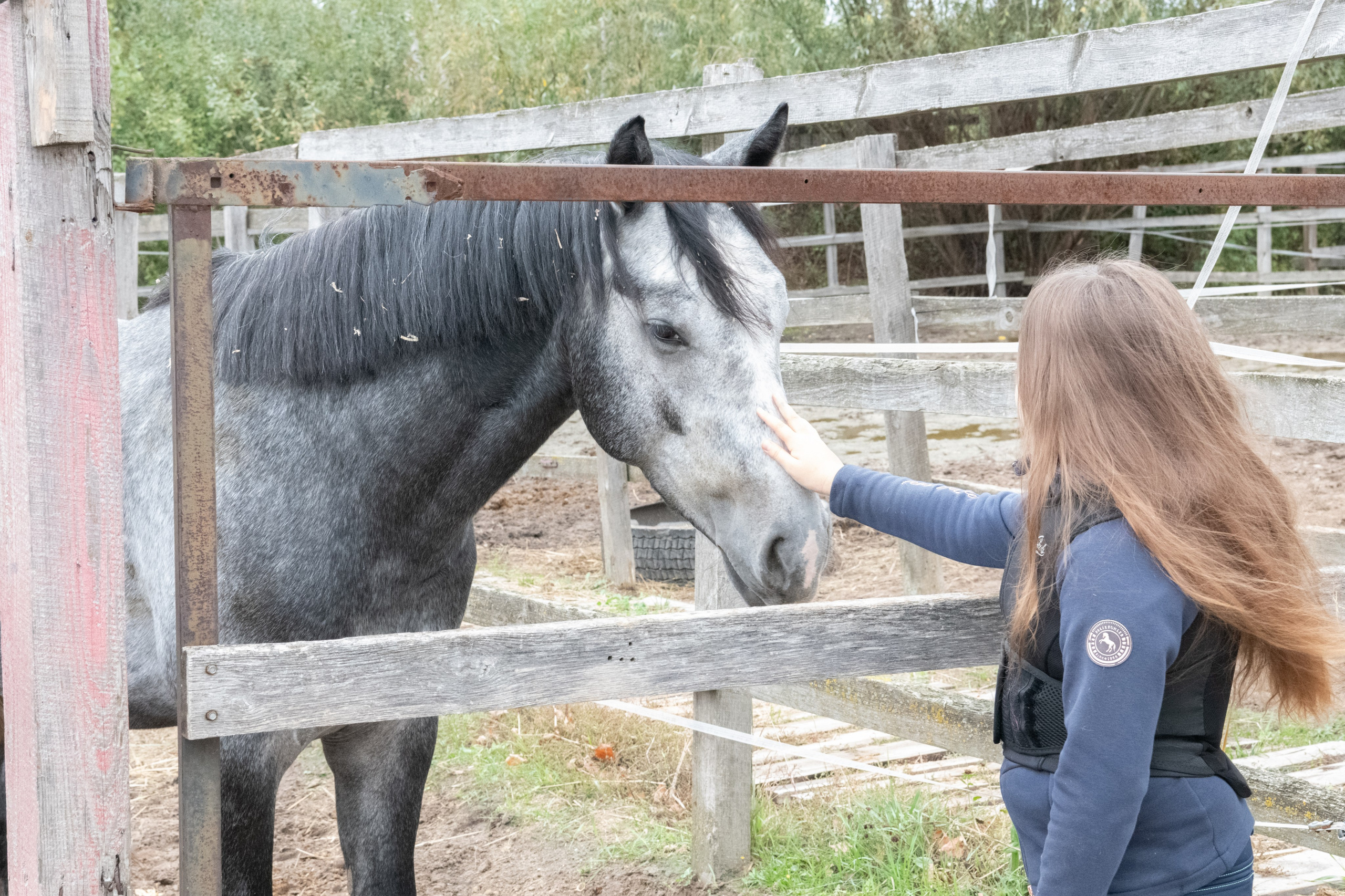 Стефанія. Кінний клуб Balaton. Репортажний та сімейний фотограф Дар’я Хорошавцева