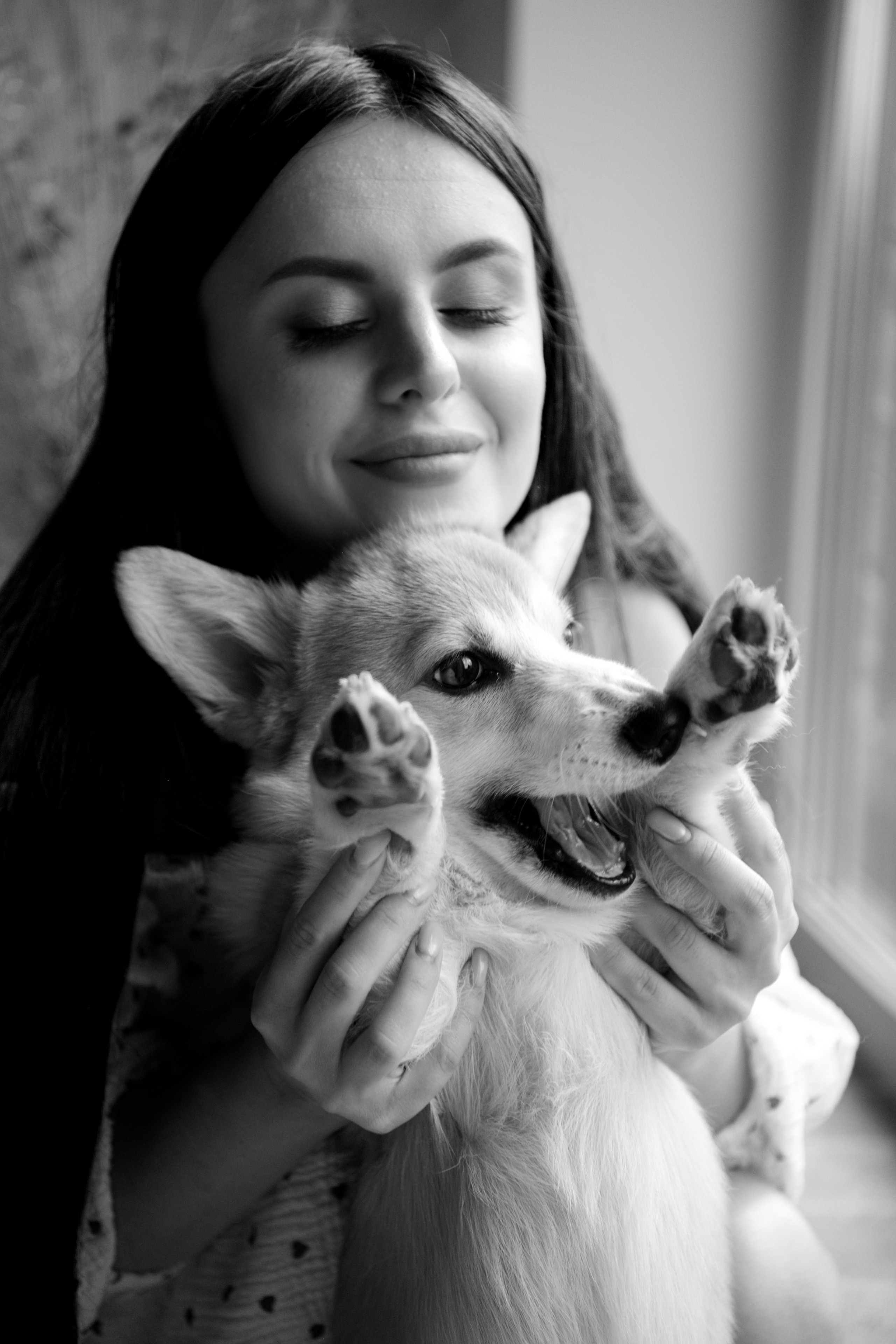 Коргі. Репортажний та сімейний фотограф Дар’я Хорошавцева