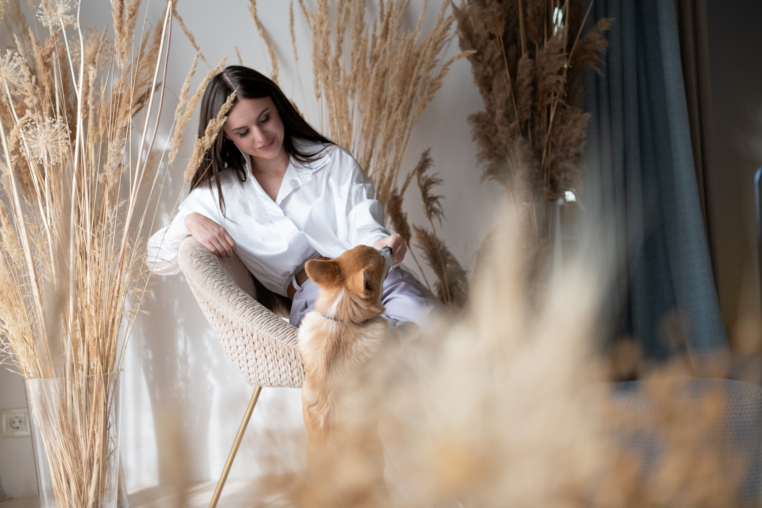 Коргі. Репортажний та сімейний фотограф Дар’я Хорошавцева