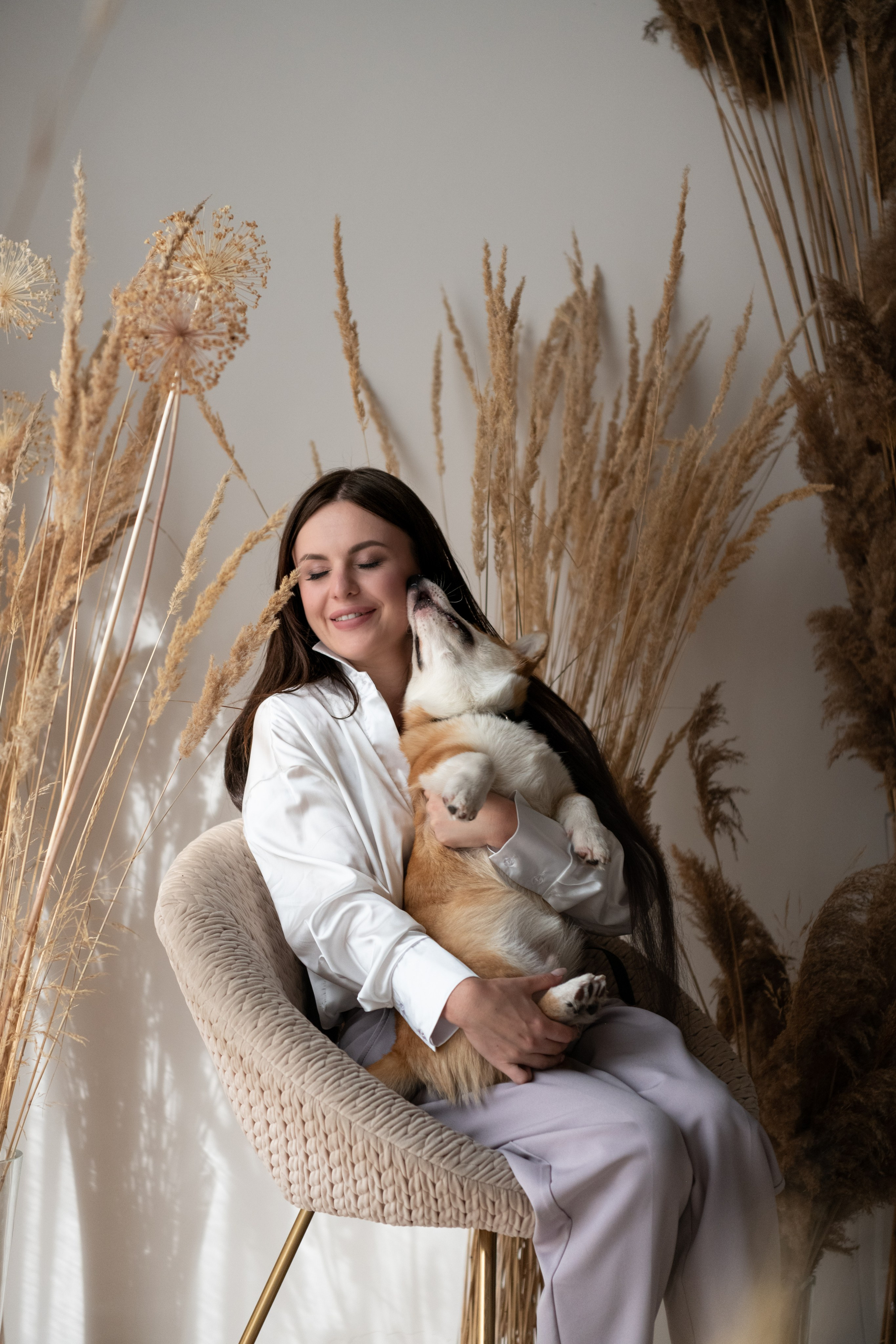 Коргі. Репортажний та сімейний фотограф Дар’я Хорошавцева