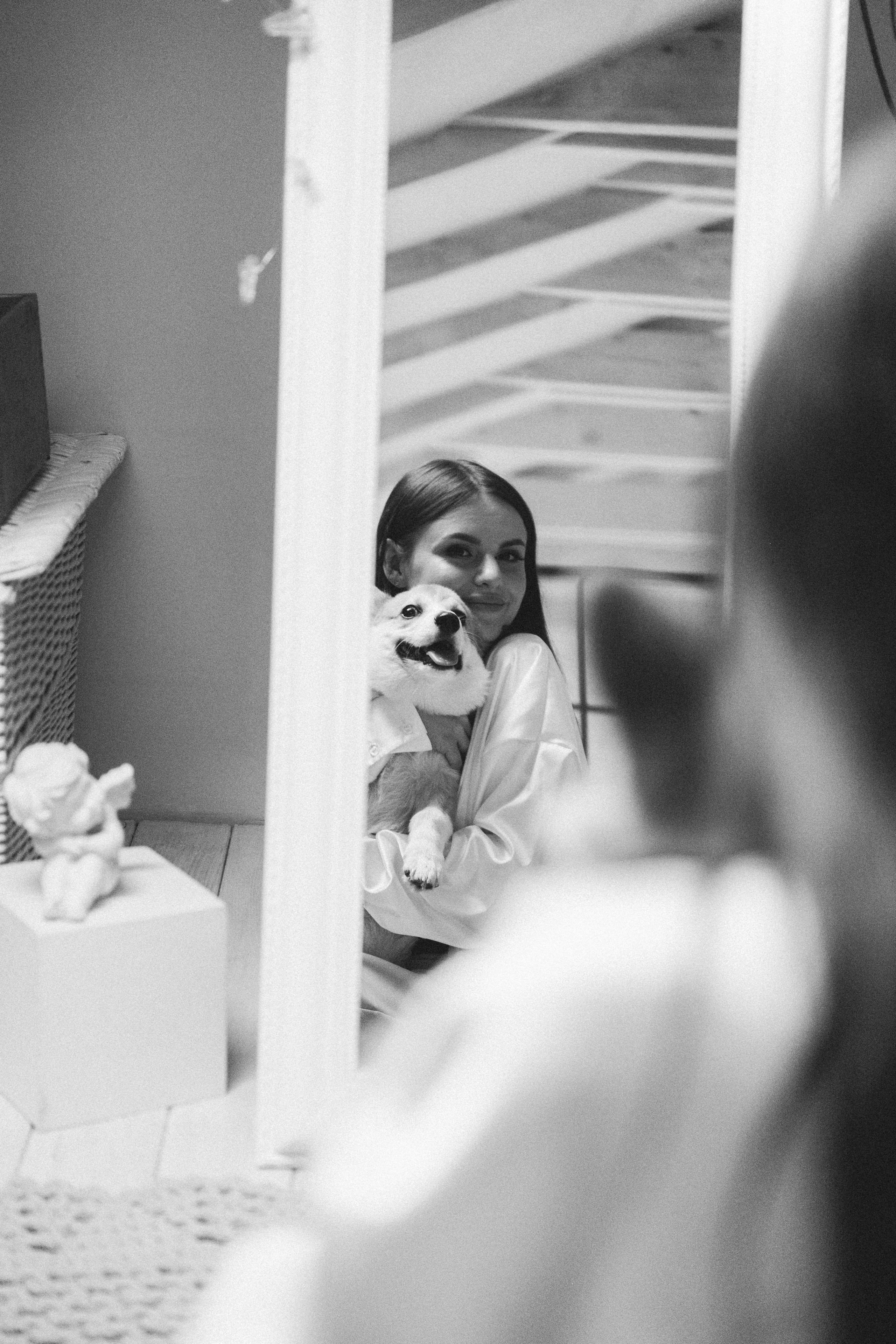 Коргі. Репортажний та сімейний фотограф Дар’я Хорошавцева