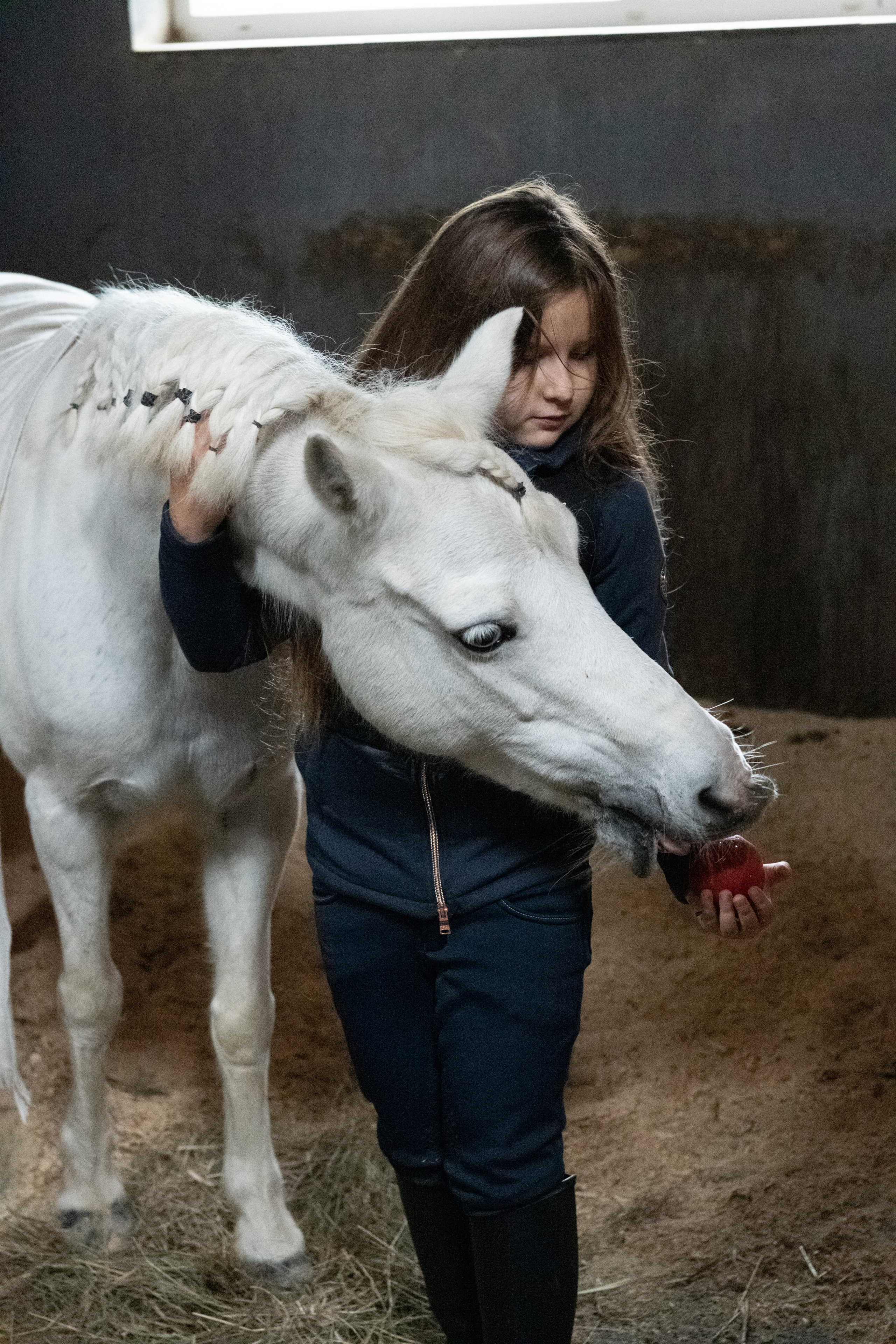 Стефанія. Кінний клуб Balaton. Репортажний та сімейний фотограф Дар’я Хорошавцева