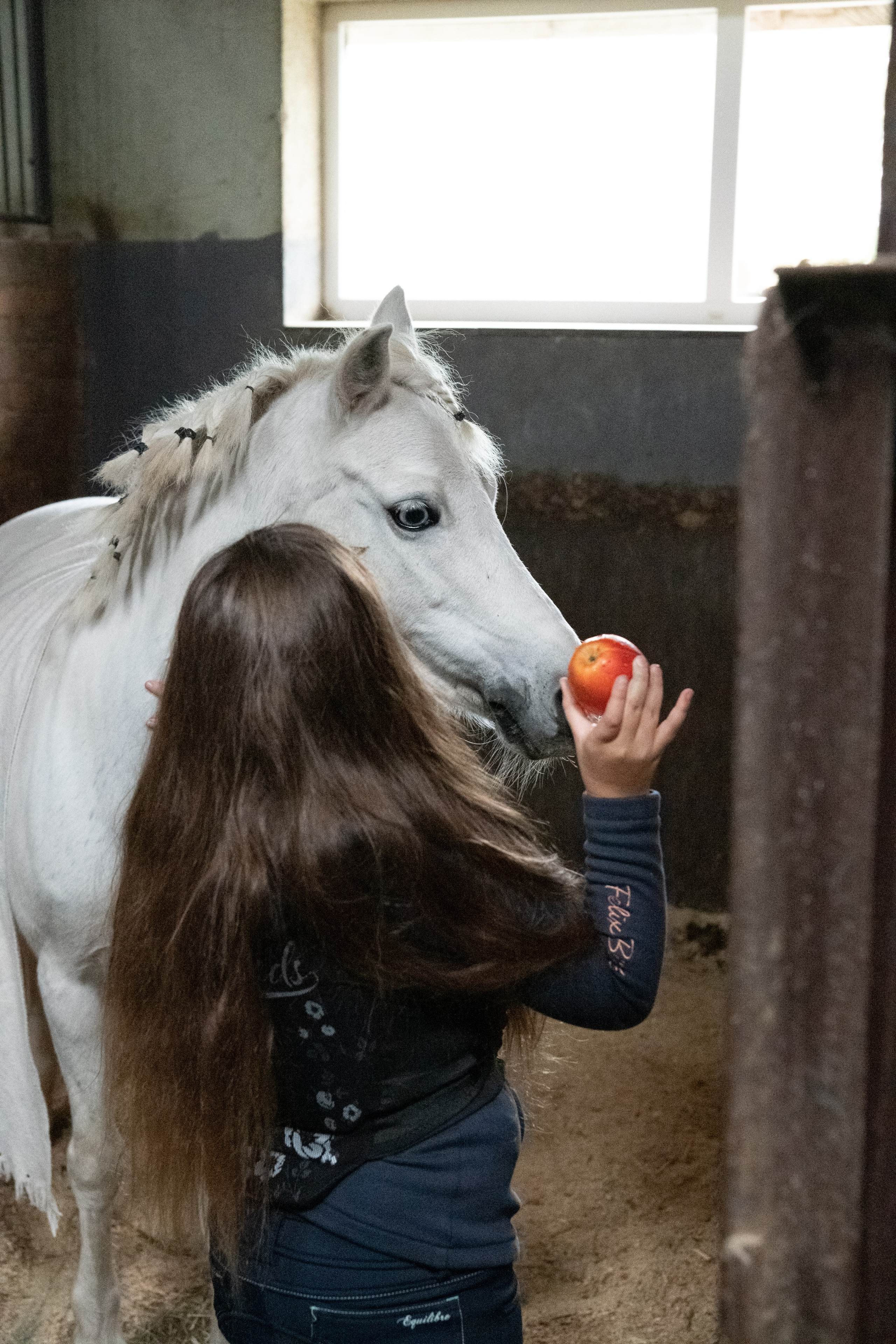 Стефанія. Кінний клуб Balaton. Репортажний та сімейний фотограф Дар’я Хорошавцева