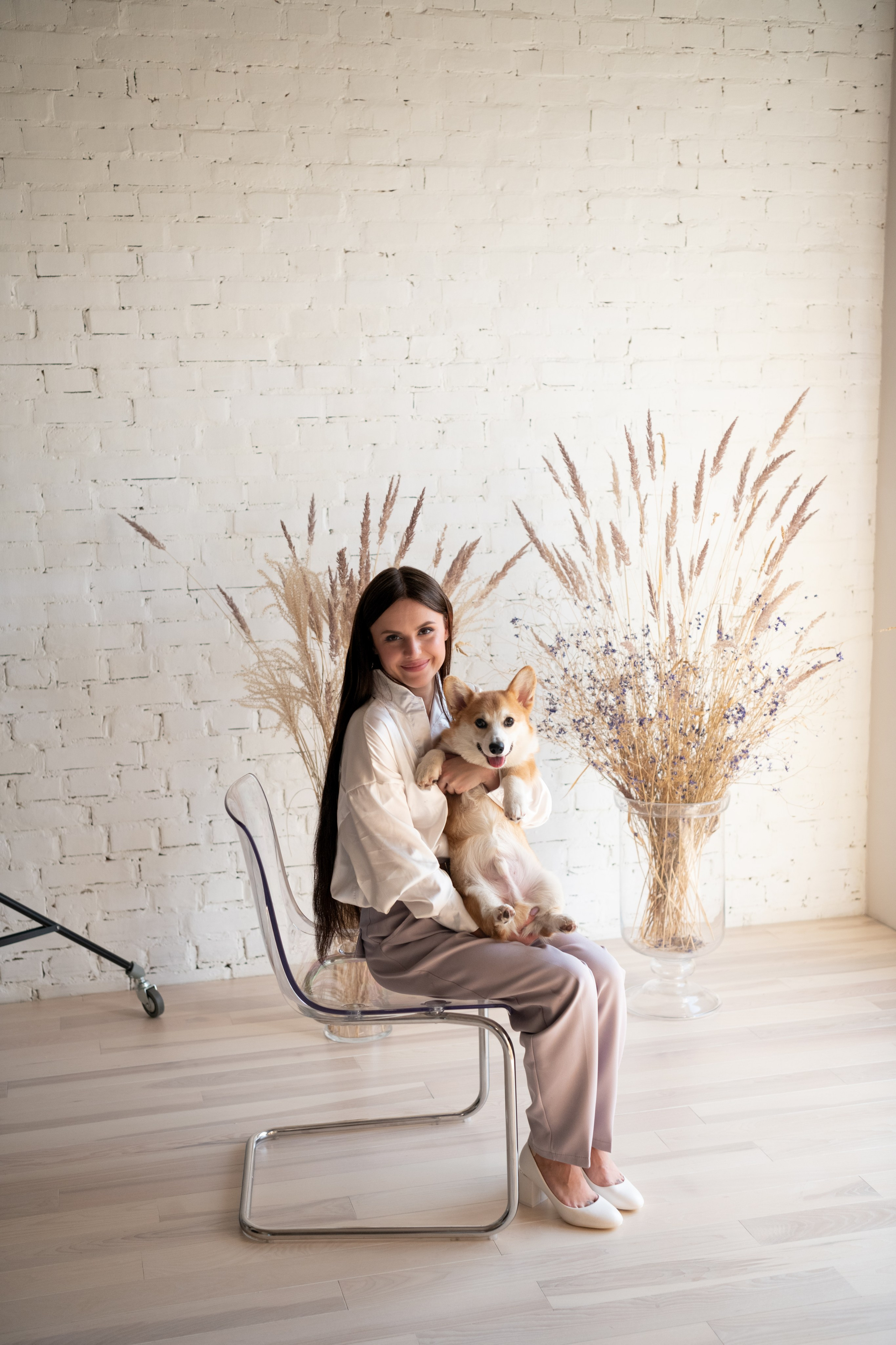 Коргі. Репортажний та сімейний фотограф Дар’я Хорошавцева