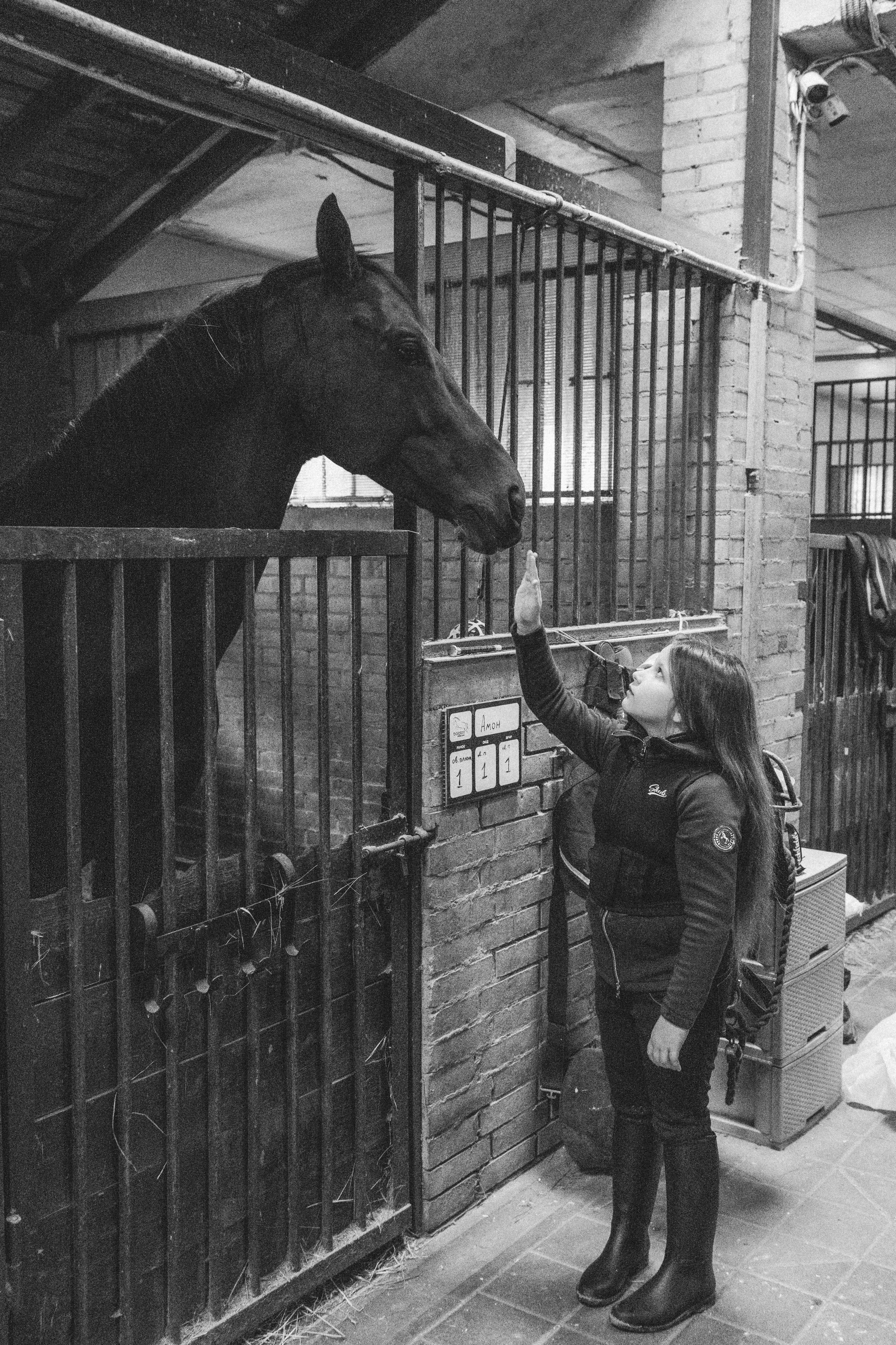 Стефанія. Кінний клуб Balaton. Репортажний та сімейний фотограф Дар’я Хорошавцева