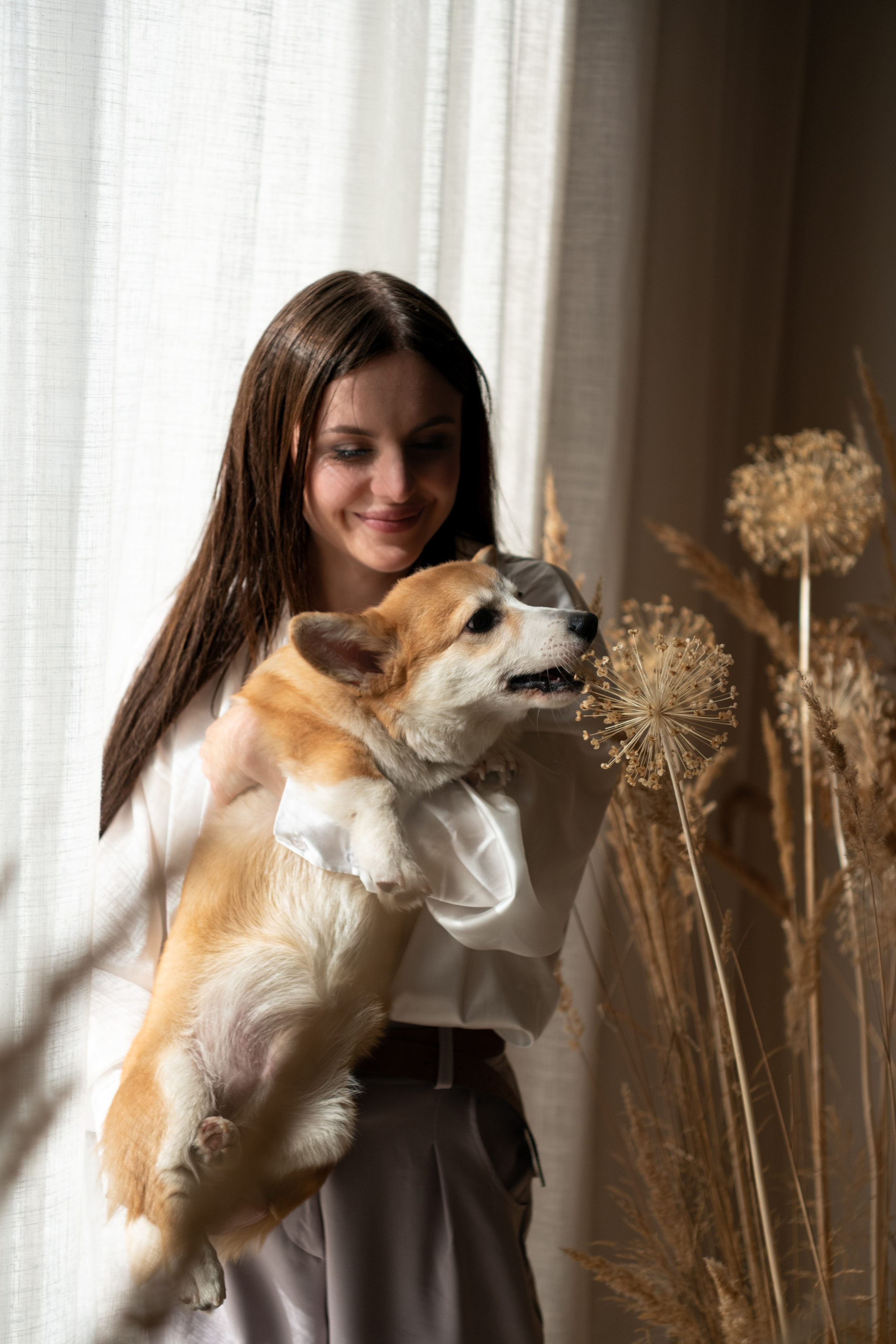 Коргі. Репортажний та сімейний фотограф Дар’я Хорошавцева