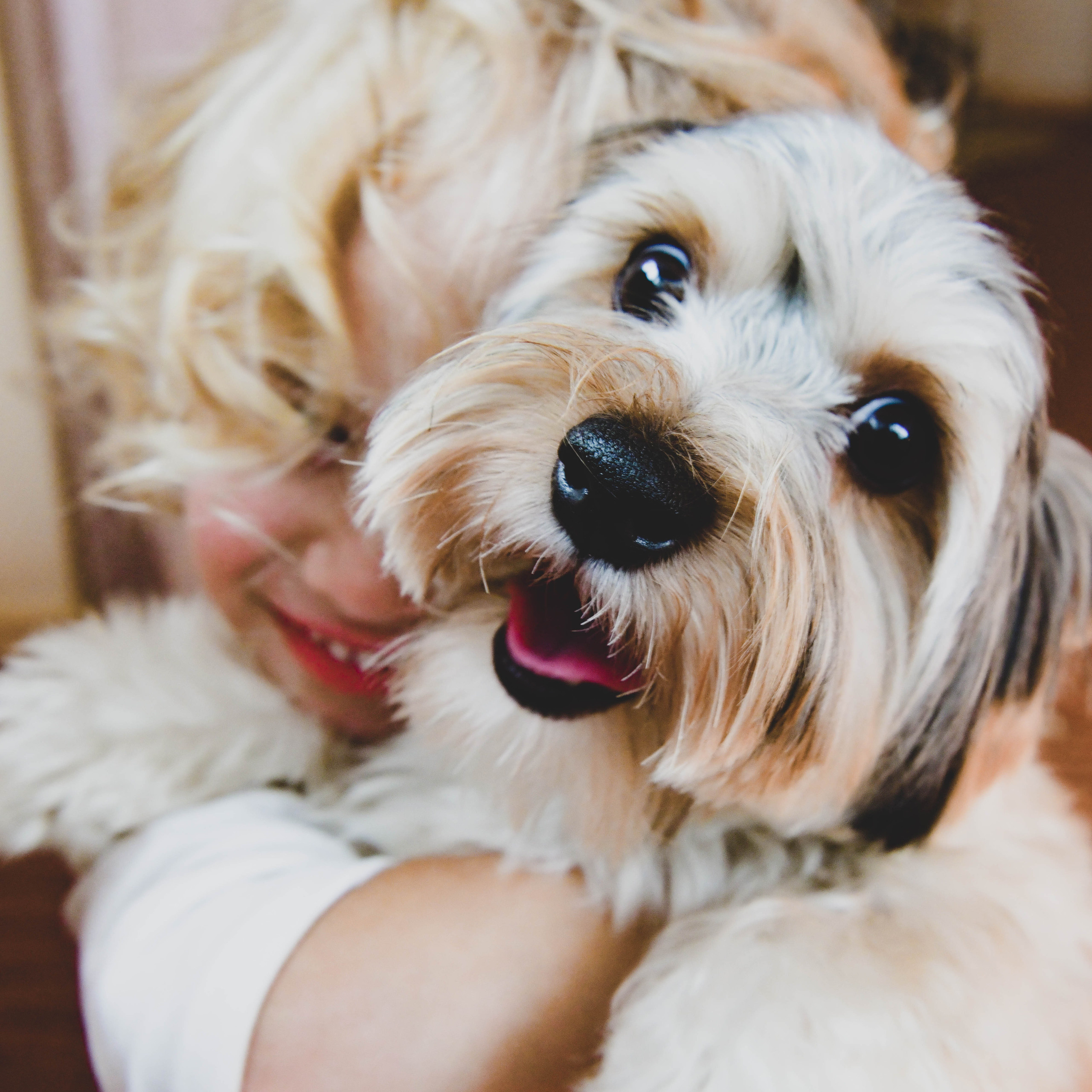 Сергій Наталья Варя Злата Підготовка до Нового року. Репортажний та сімейний фотограф Дар’я Хорошавцева