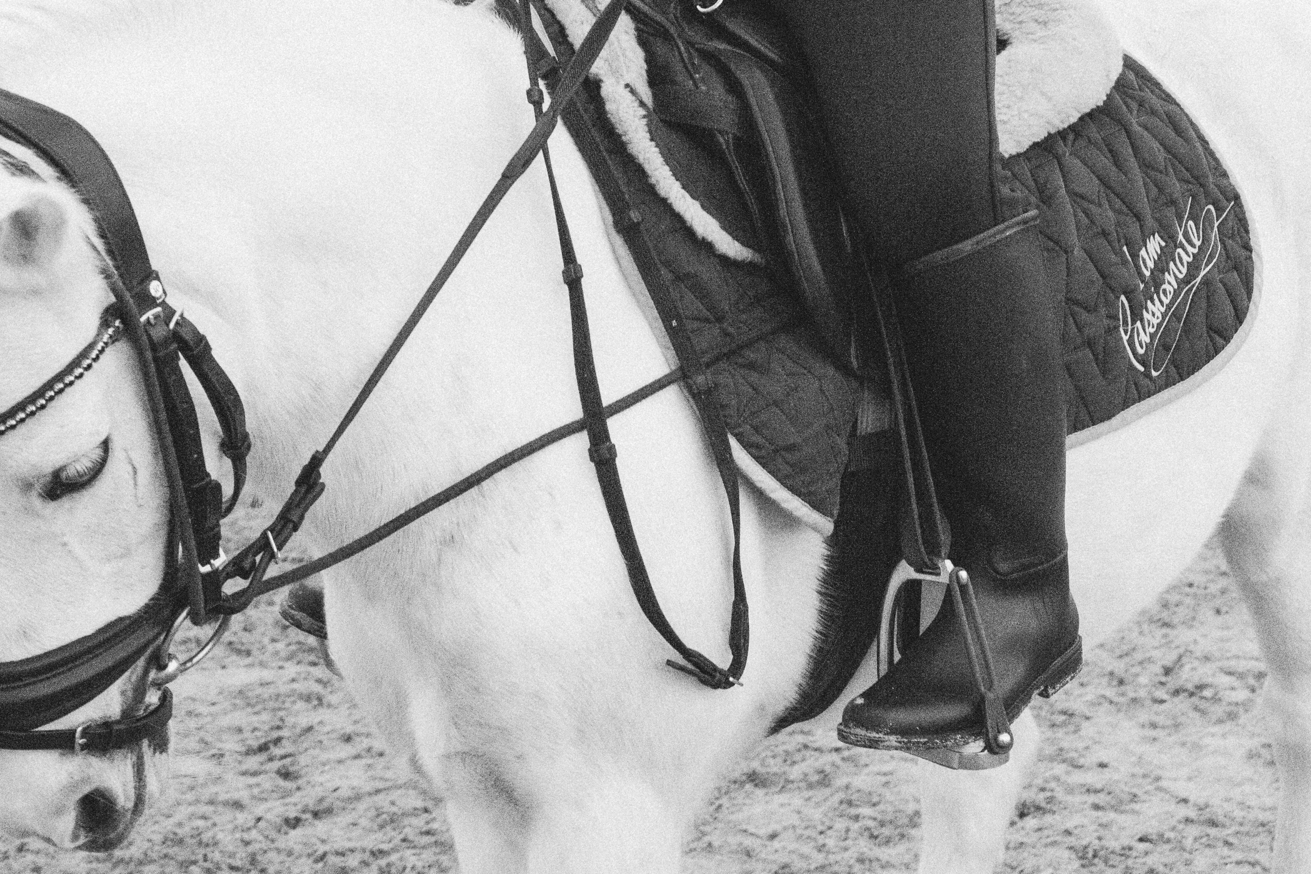 Стефанія. Кінний клуб Balaton. Репортажний та сімейний фотограф Дар’я Хорошавцева