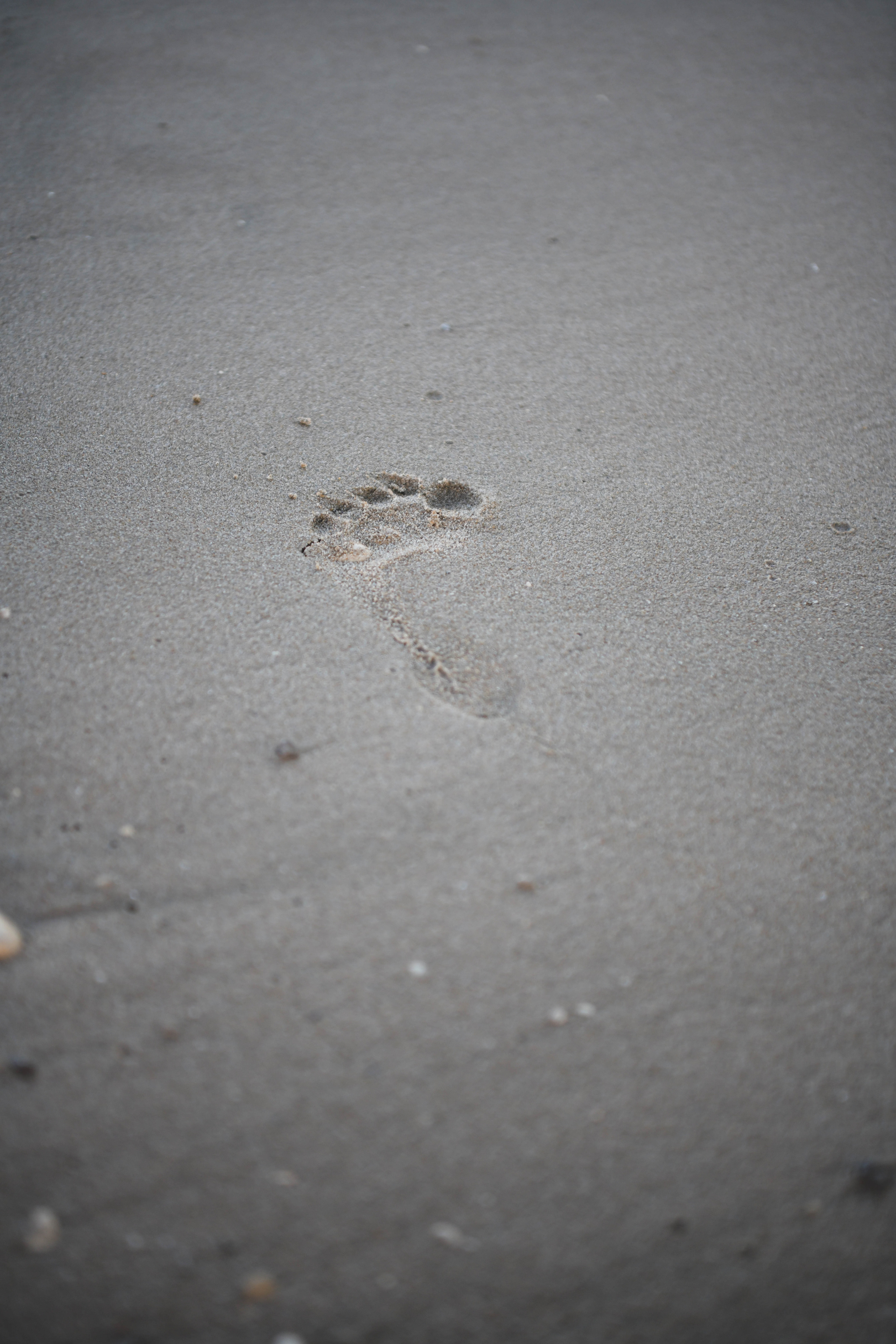 Саша, Оля Гріша Аліканте. Репортажний та сімейний фотограф Дар’я Хорошавцева