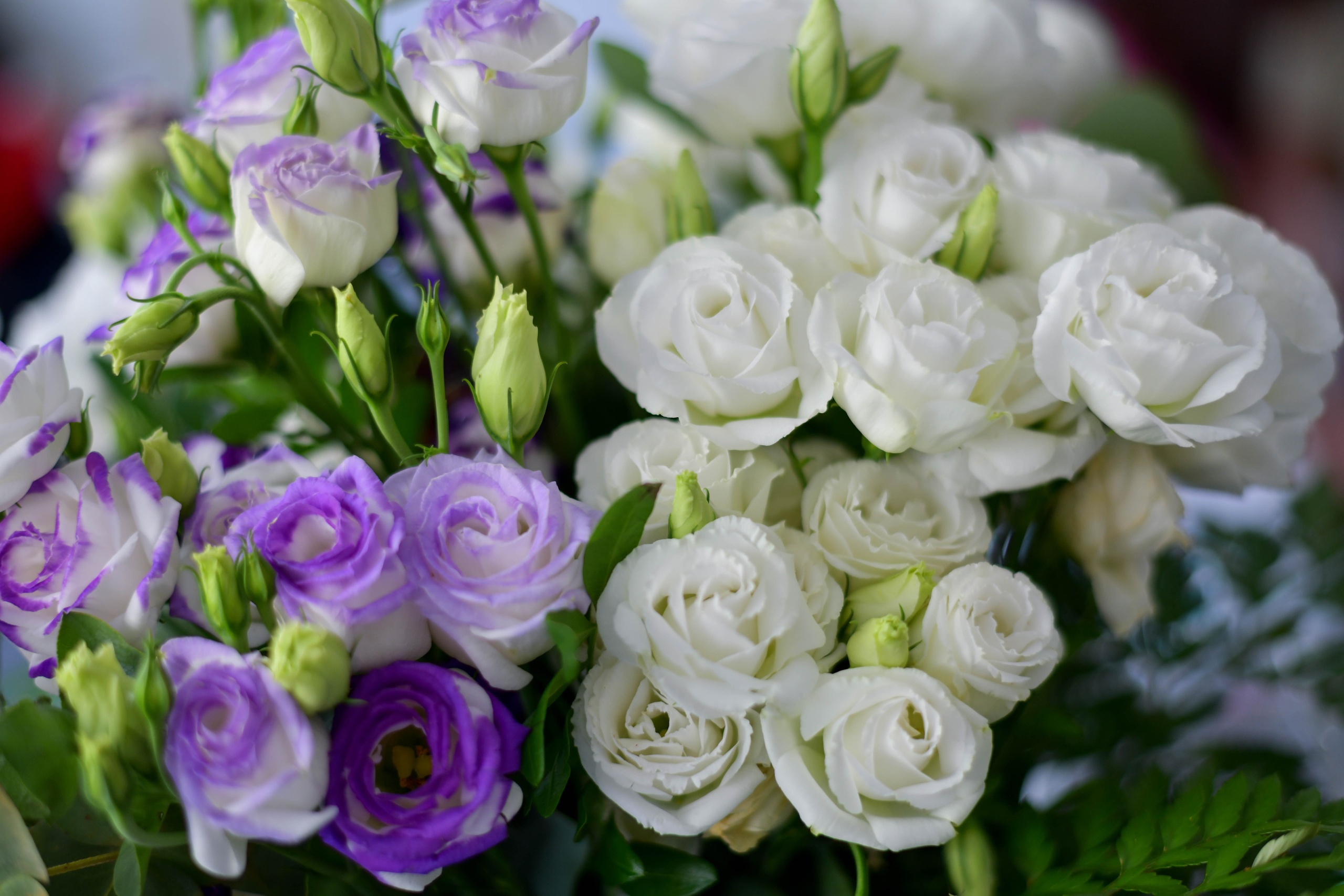 Максим, Юля, Захар, Марія Аліканте. Репортажний та сімейний фотограф Дар’я Хорошавцева