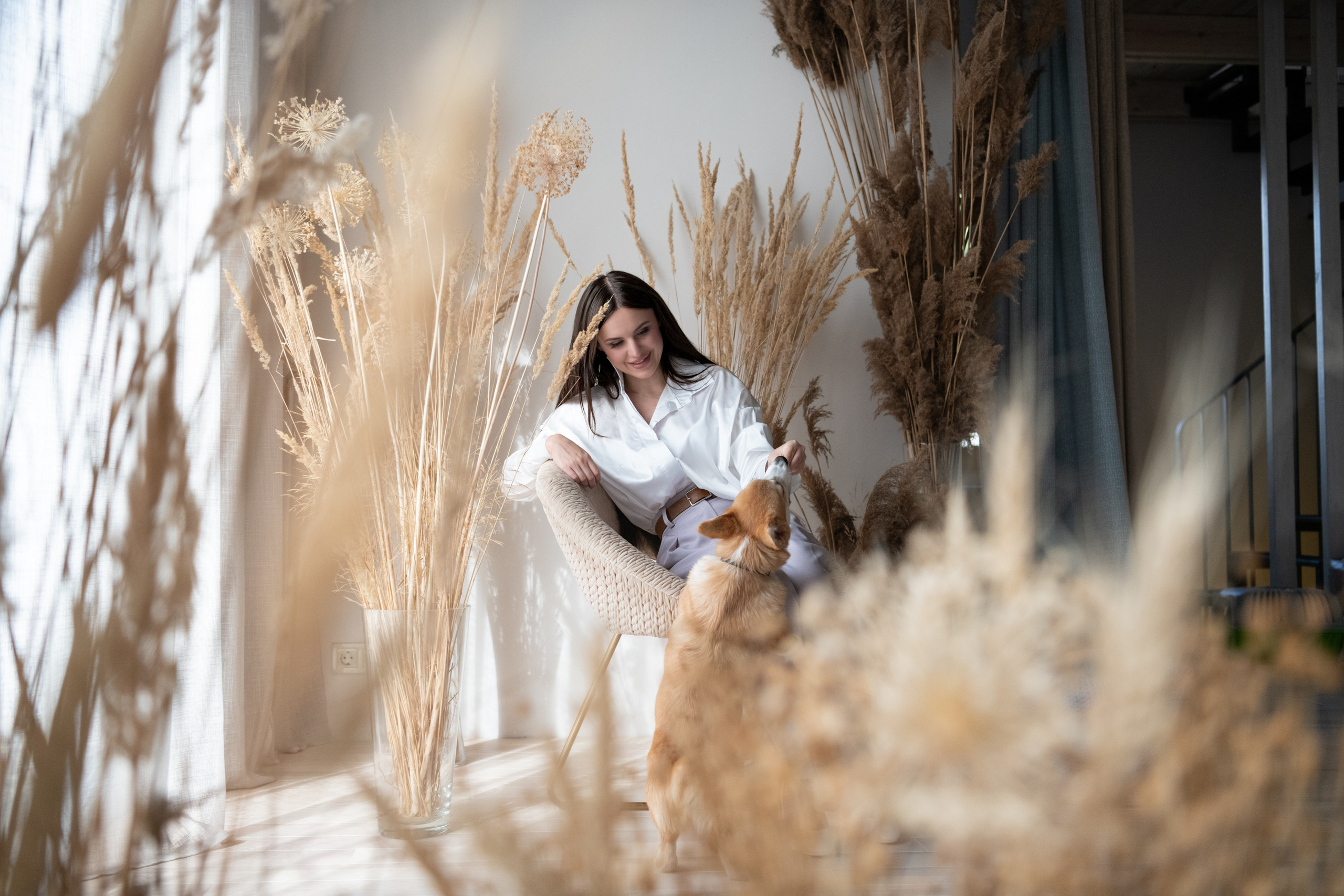 Коргі. Репортажний та сімейний фотограф Дар’я Хорошавцева