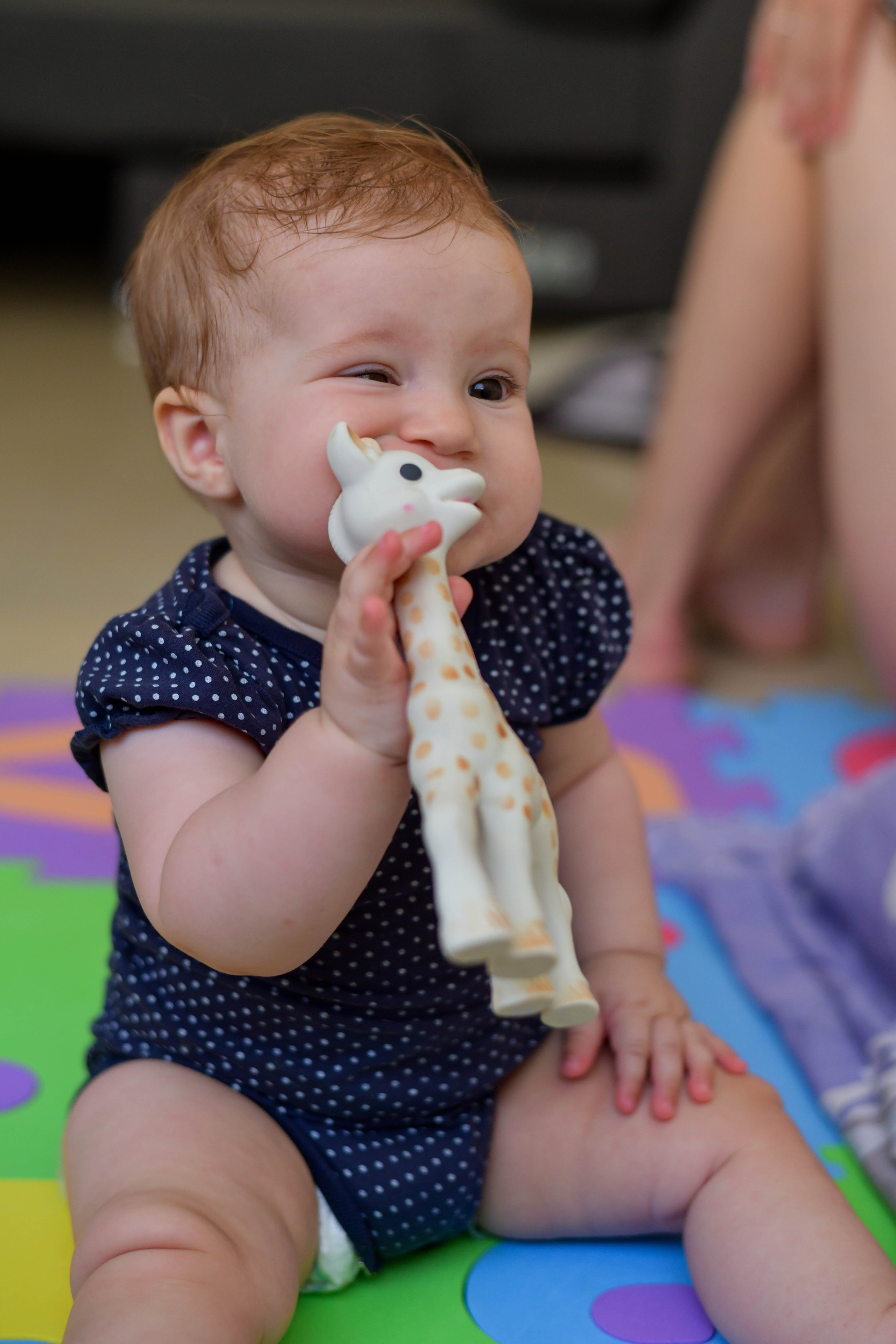 Максим, Юля, Захар, Марія Аліканте. Репортажний та сімейний фотограф Дар’я Хорошавцева