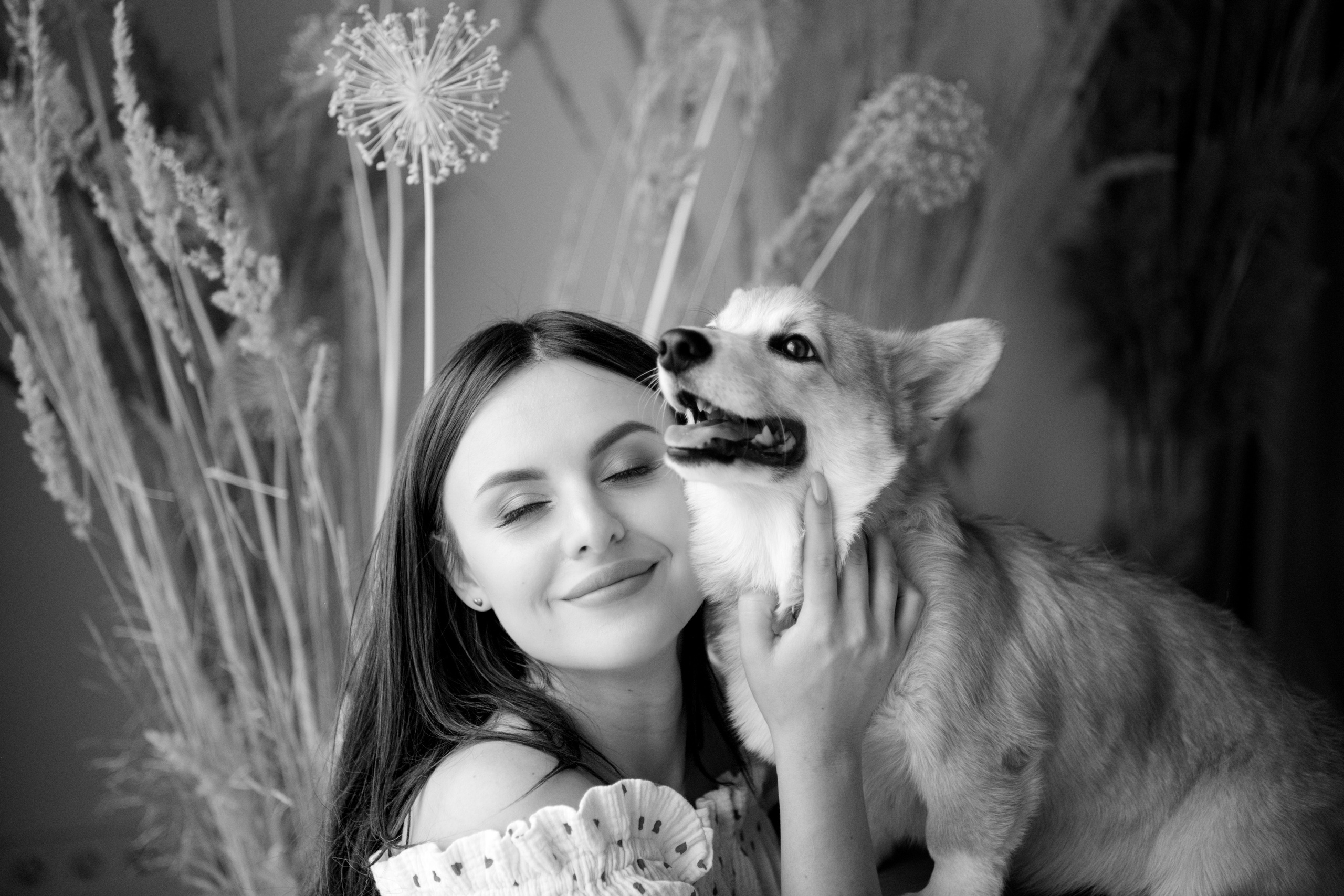 Коргі. Репортажний та сімейний фотограф Дар’я Хорошавцева