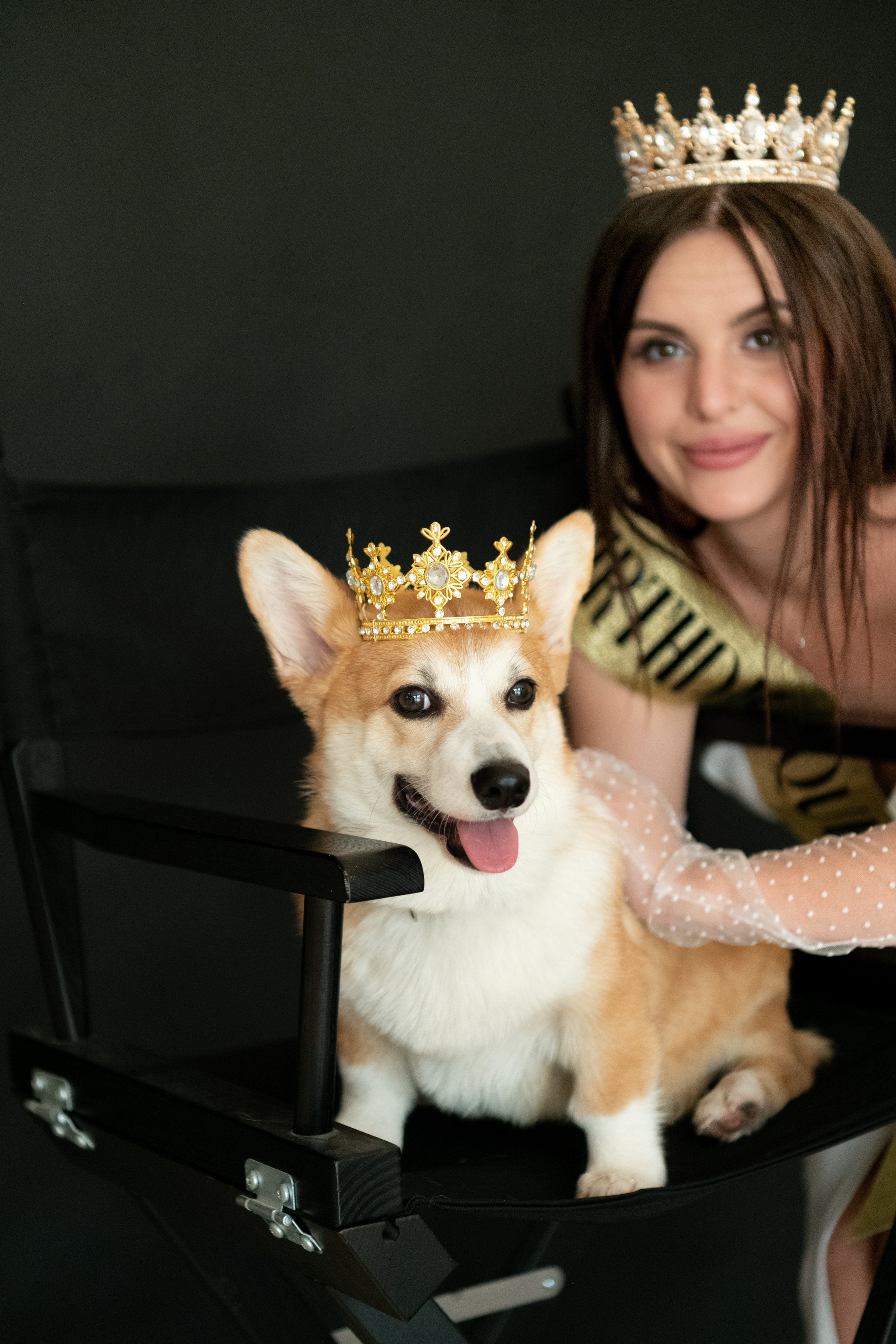 Коргі. Репортажний та сімейний фотограф Дар’я Хорошавцева