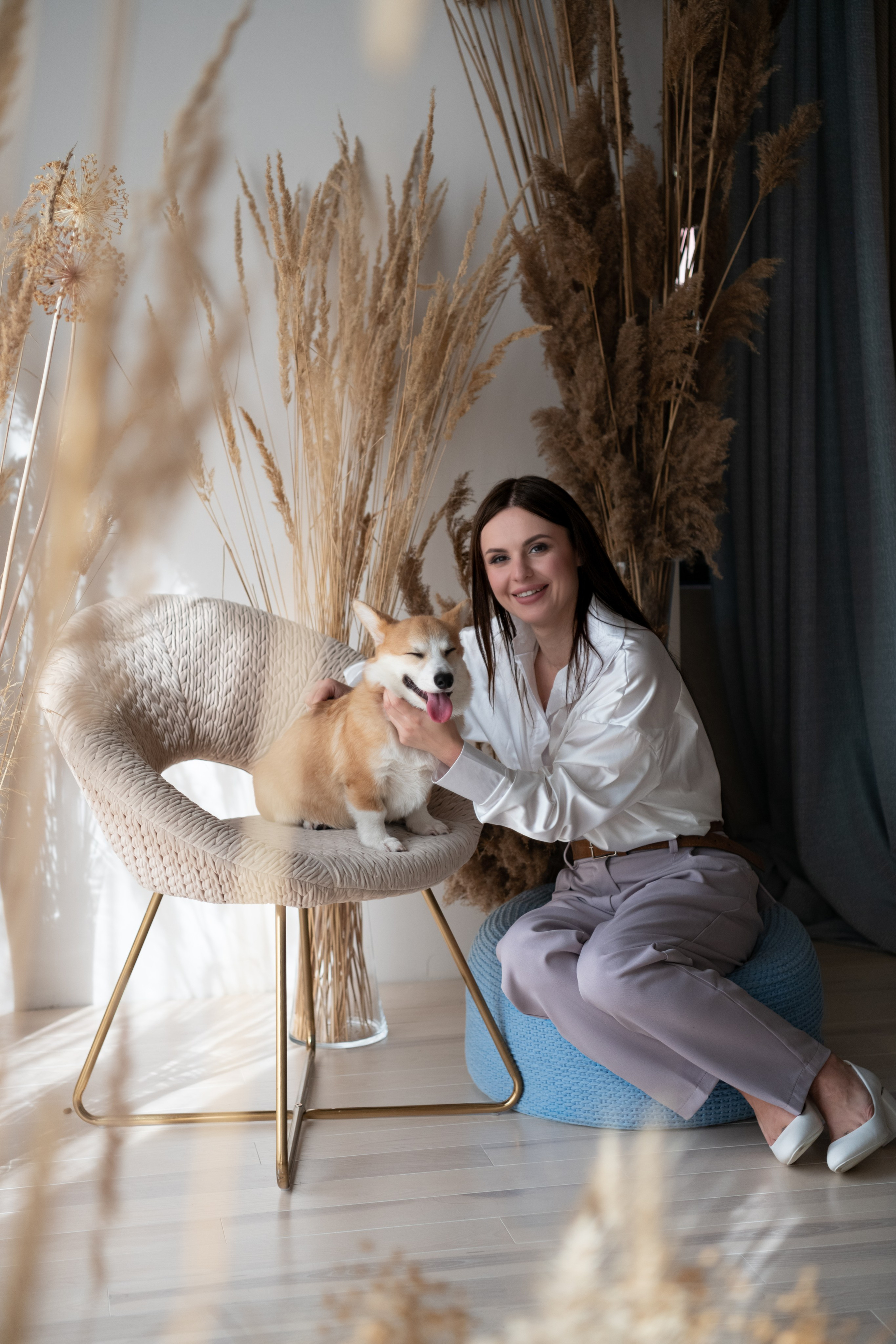 Коргі. Репортажний та сімейний фотограф Дар’я Хорошавцева