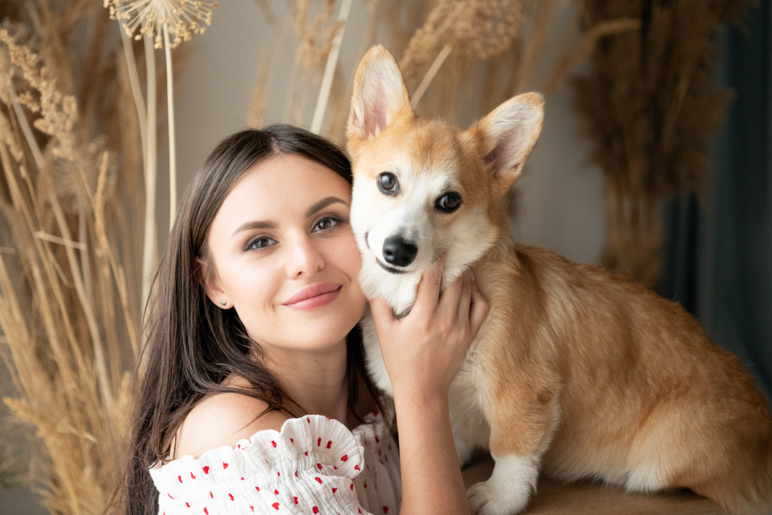 Коргі. Репортажний та сімейний фотограф Дар’я Хорошавцева