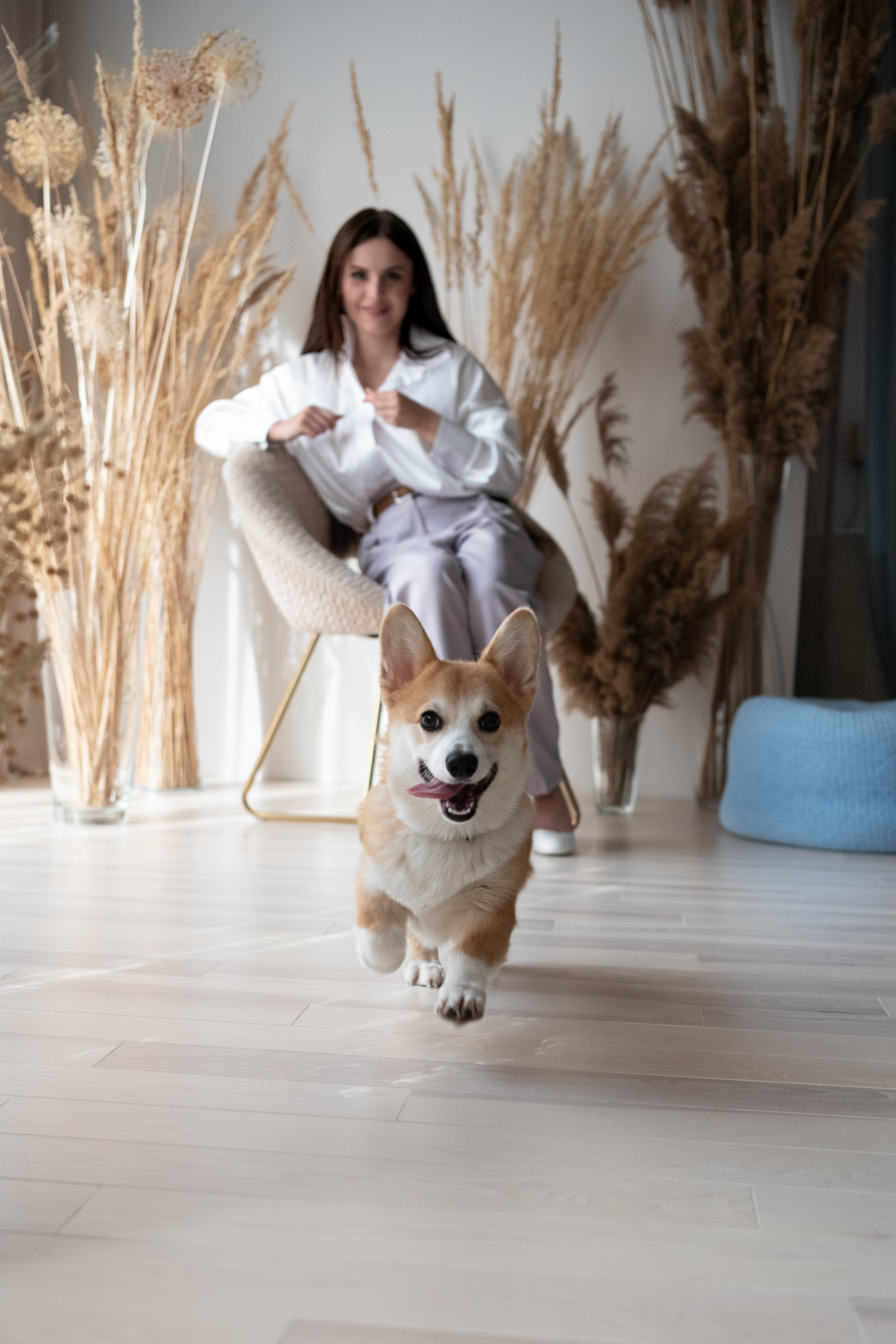 Коргі. Репортажний та сімейний фотограф Дар’я Хорошавцева