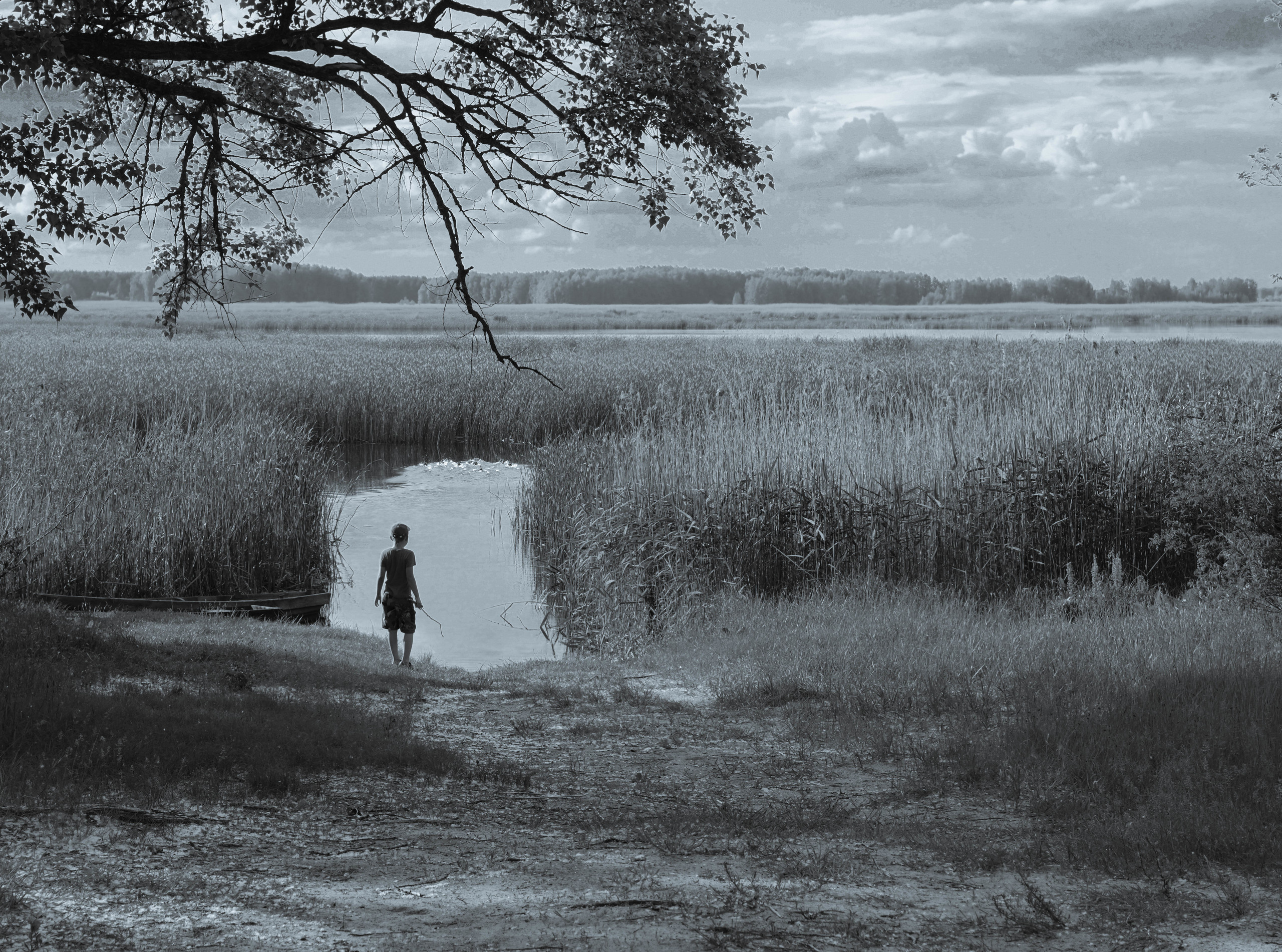 Літо в селі. Репортажний та сімейний фотограф Дар’я Хорошавцева