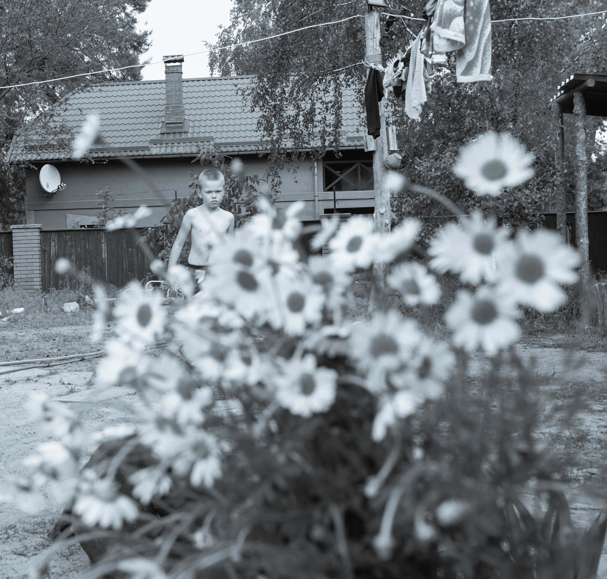 Літо в селі. Репортажний та сімейний фотограф Дар’я Хорошавцева