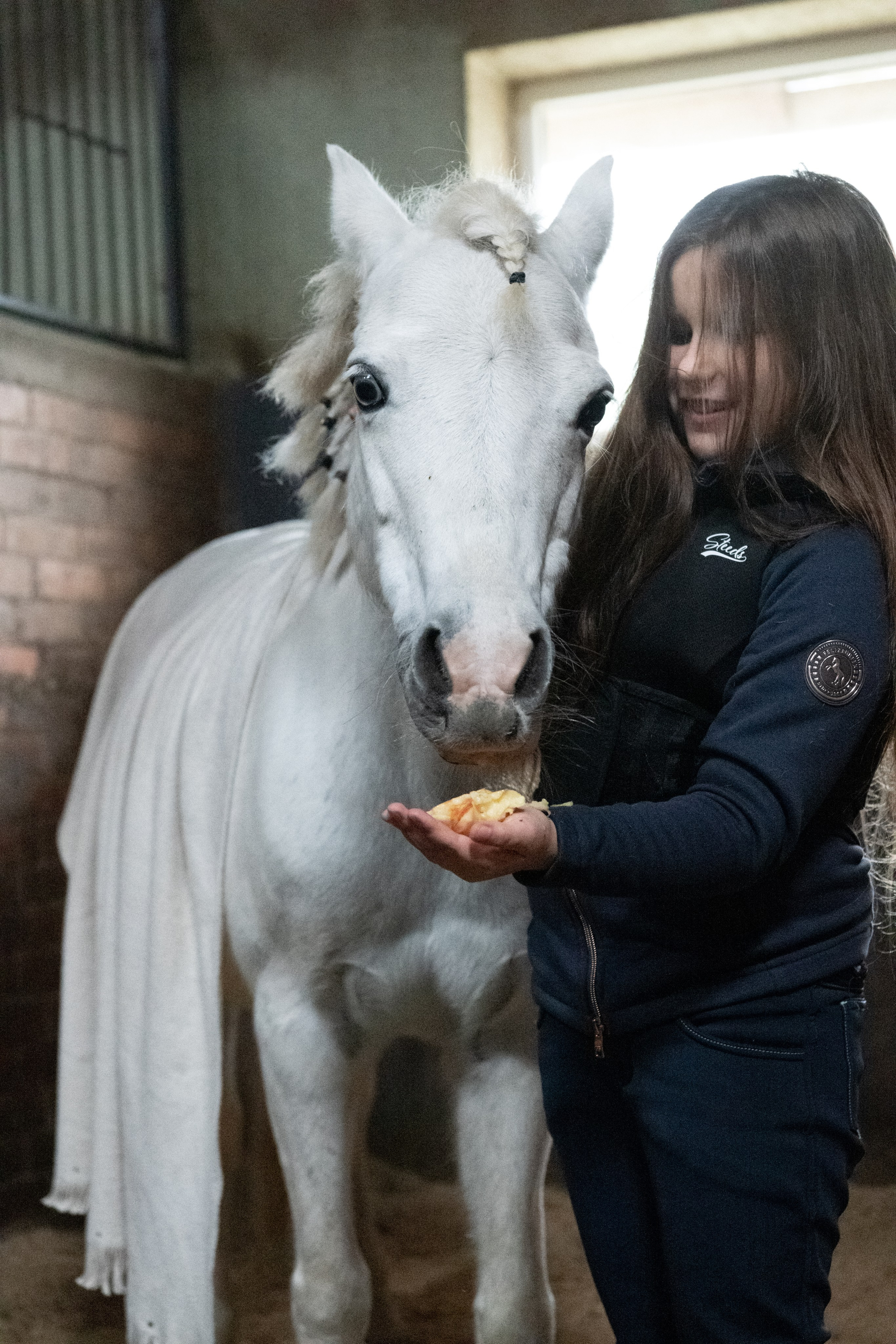 Стефанія. Кінний клуб Balaton. Репортажний та сімейний фотограф Дар’я Хорошавцева