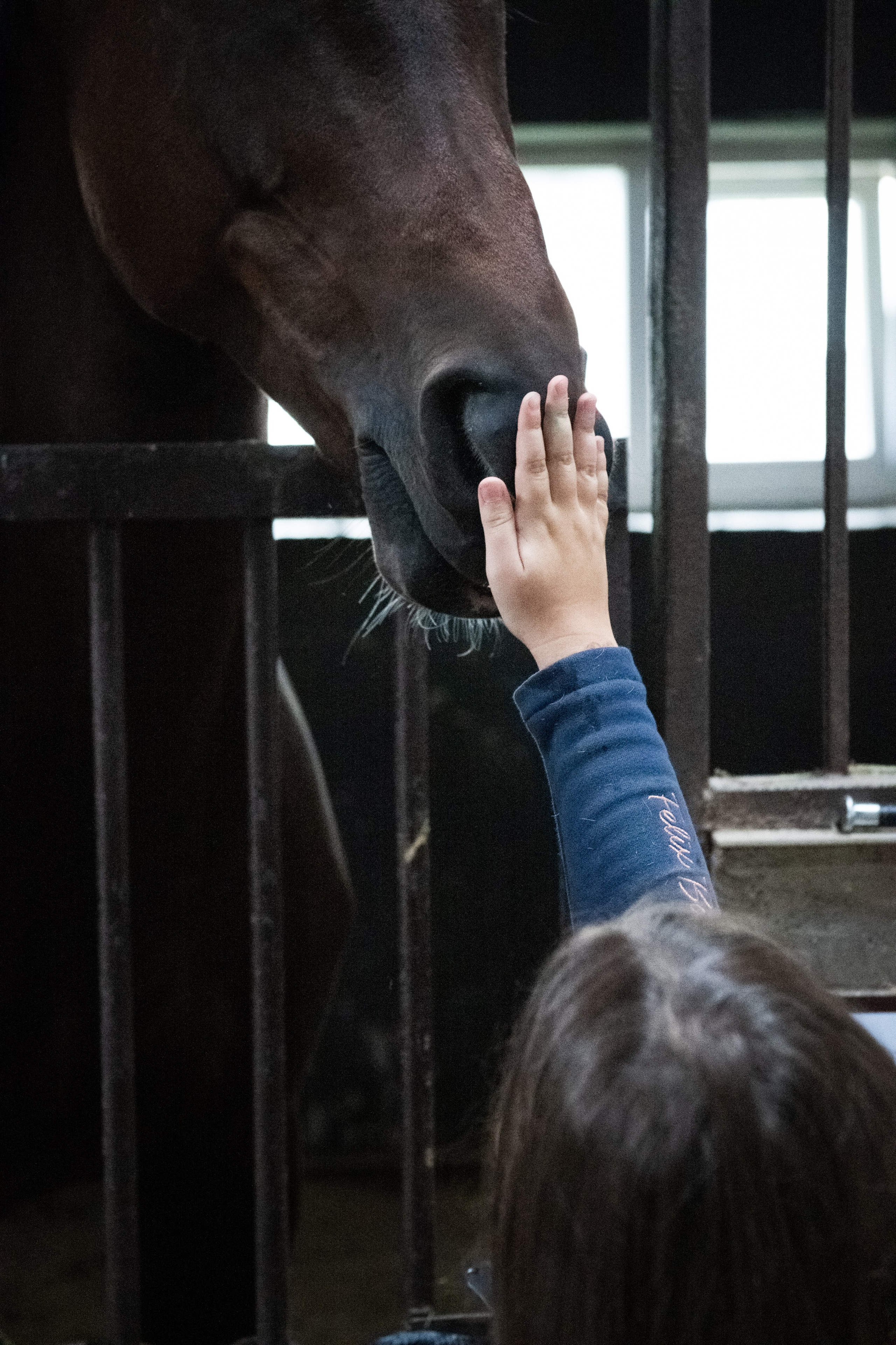 Стефанія. Кінний клуб Balaton. Репортажний та сімейний фотограф Дар’я Хорошавцева