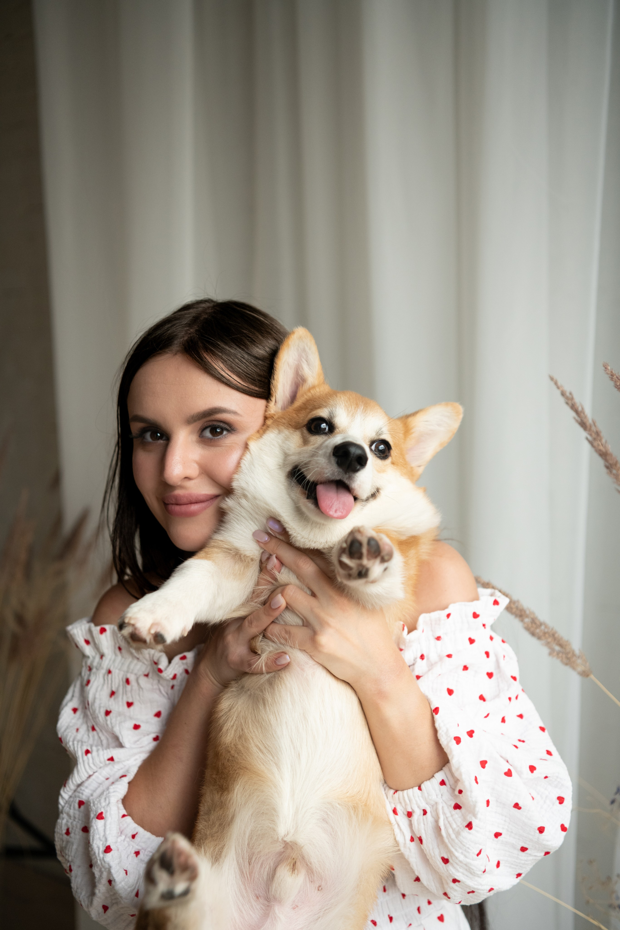 Коргі. Репортажний та сімейний фотограф Дар’я Хорошавцева