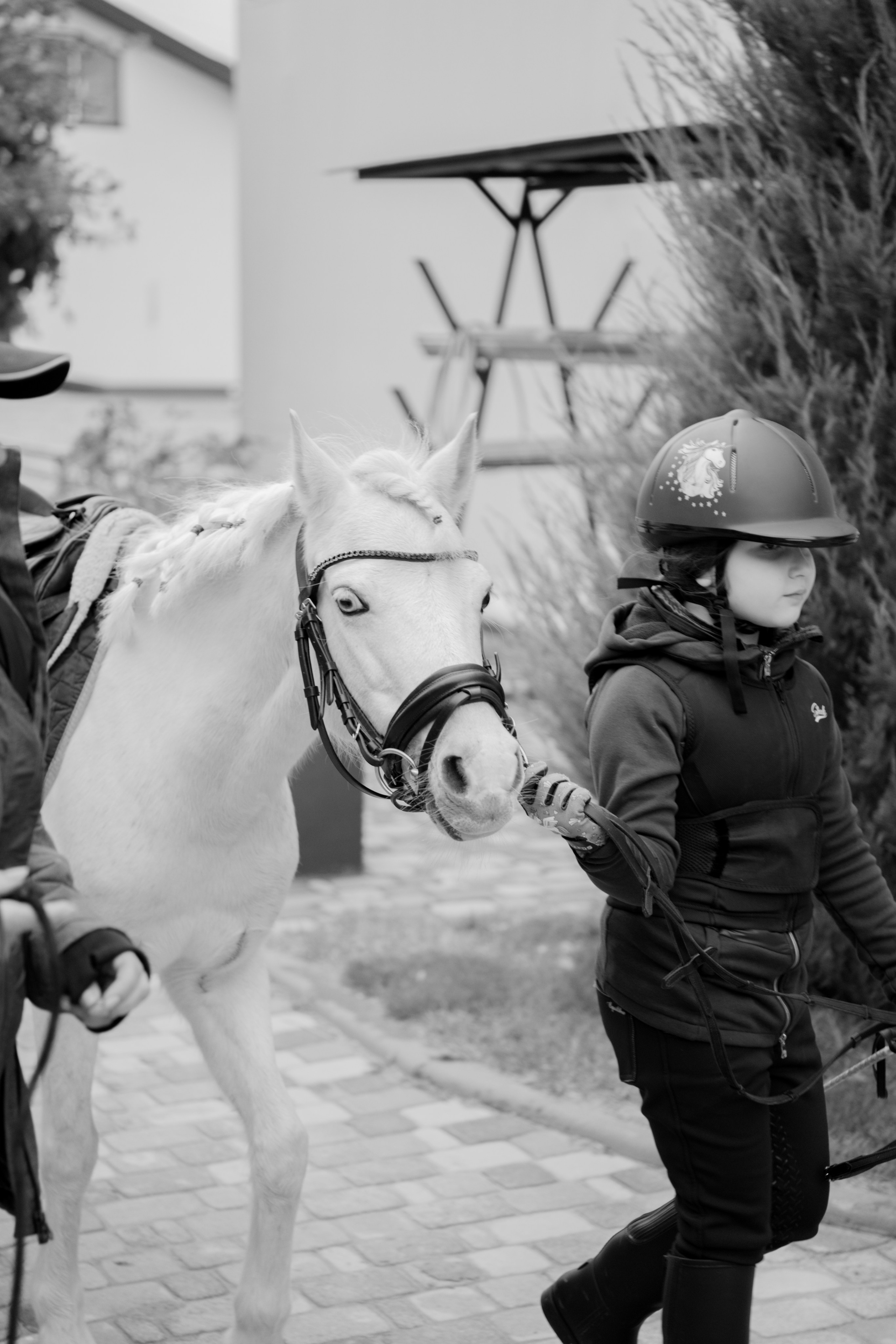 Стефанія. Кінний клуб Balaton. Репортажний та сімейний фотограф Дар’я Хорошавцева