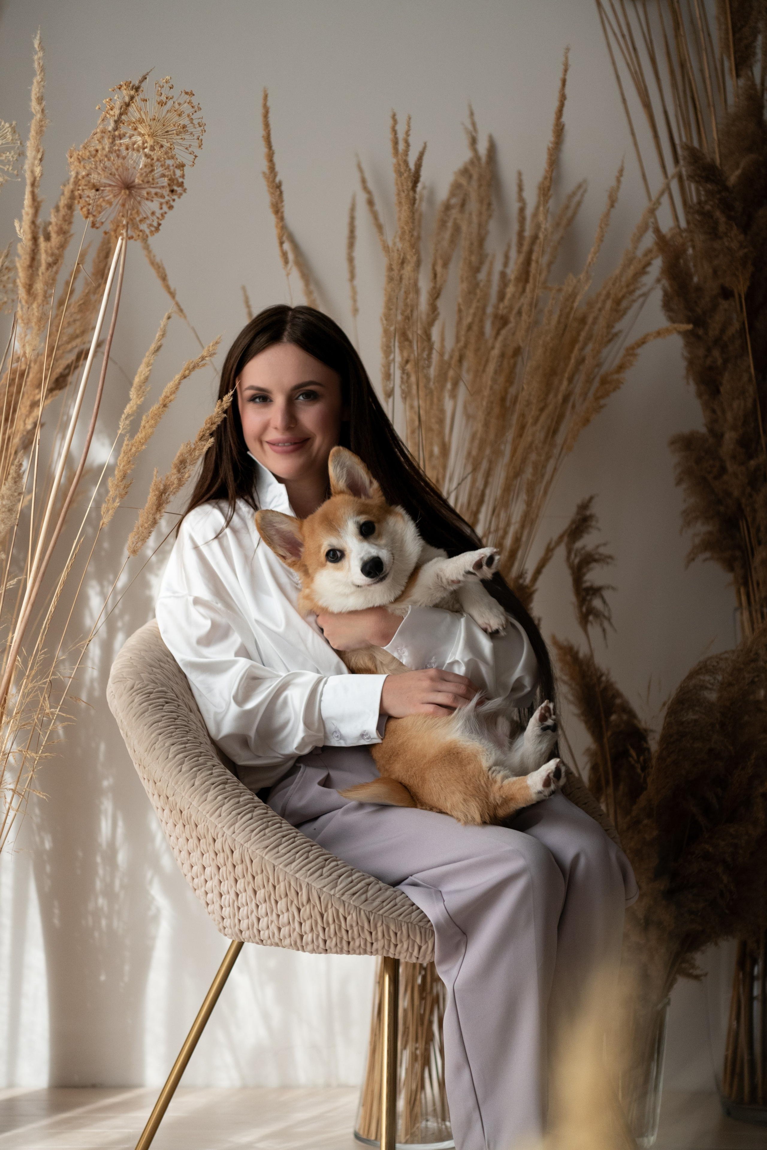 Коргі. Репортажний та сімейний фотограф Дар’я Хорошавцева