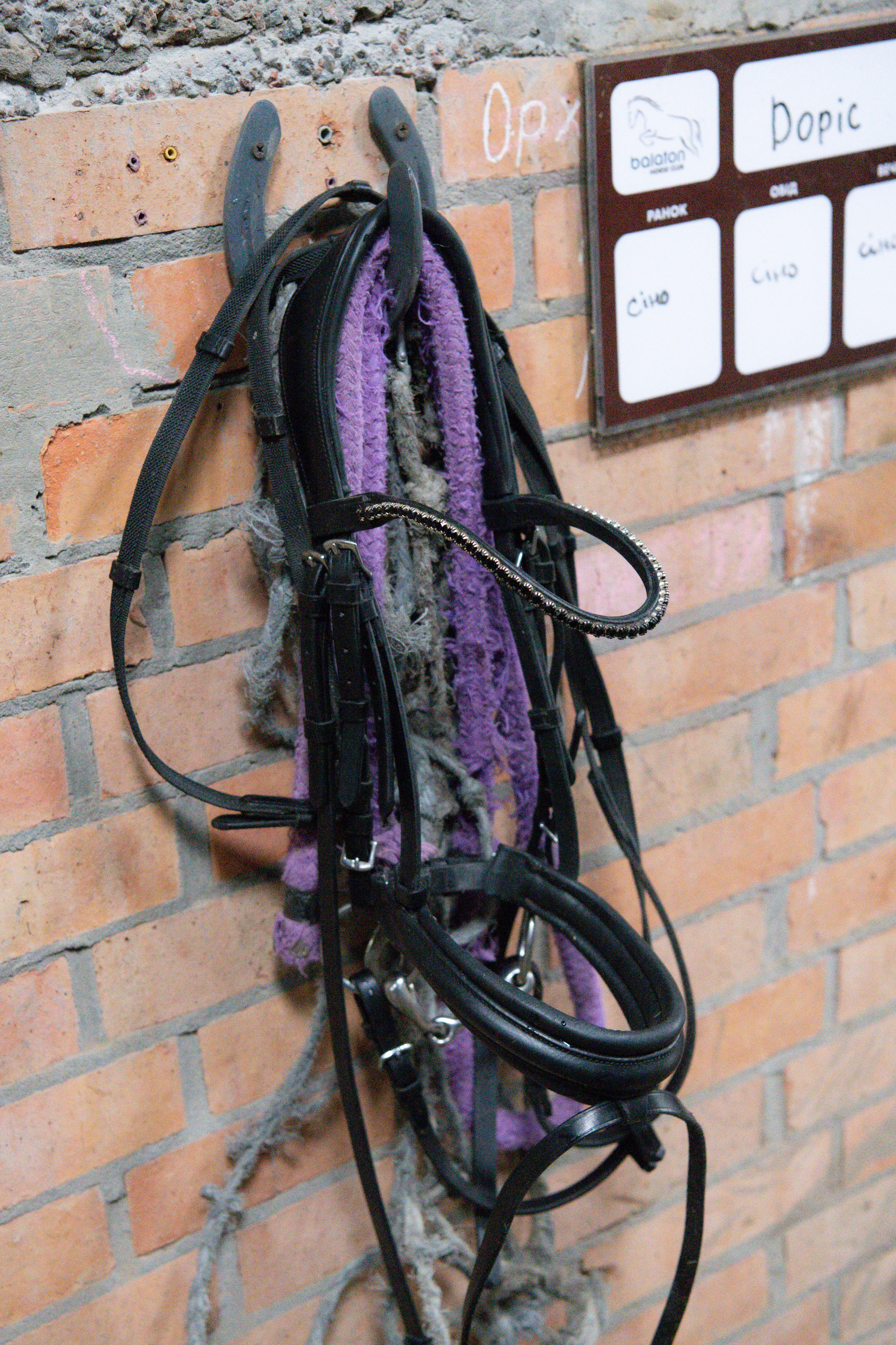 Стефанія. Кінний клуб Balaton. Репортажний та сімейний фотограф Дар’я Хорошавцева