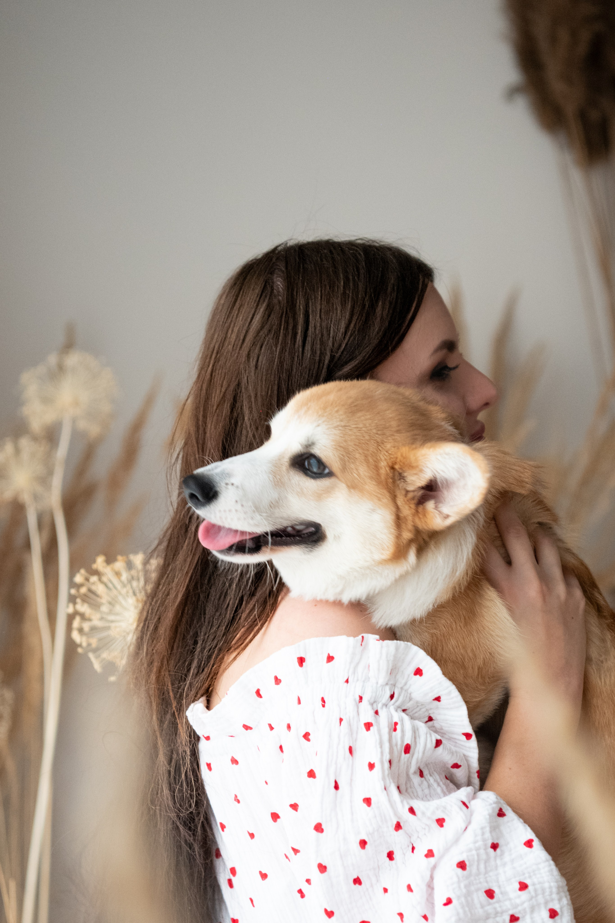 Коргі. Репортажний та сімейний фотограф Дар’я Хорошавцева
