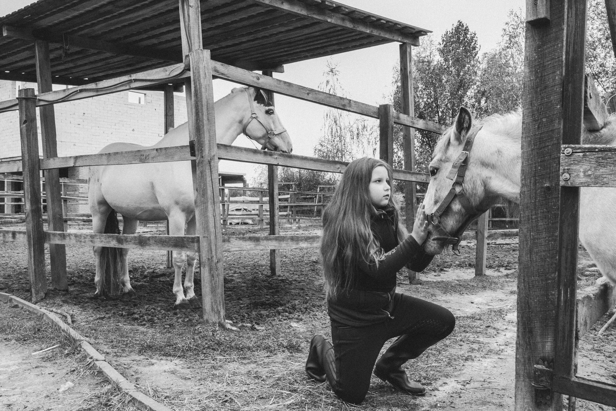 Стефанія. Кінний клуб Balaton. Репортажний та сімейний фотограф Дар’я Хорошавцева