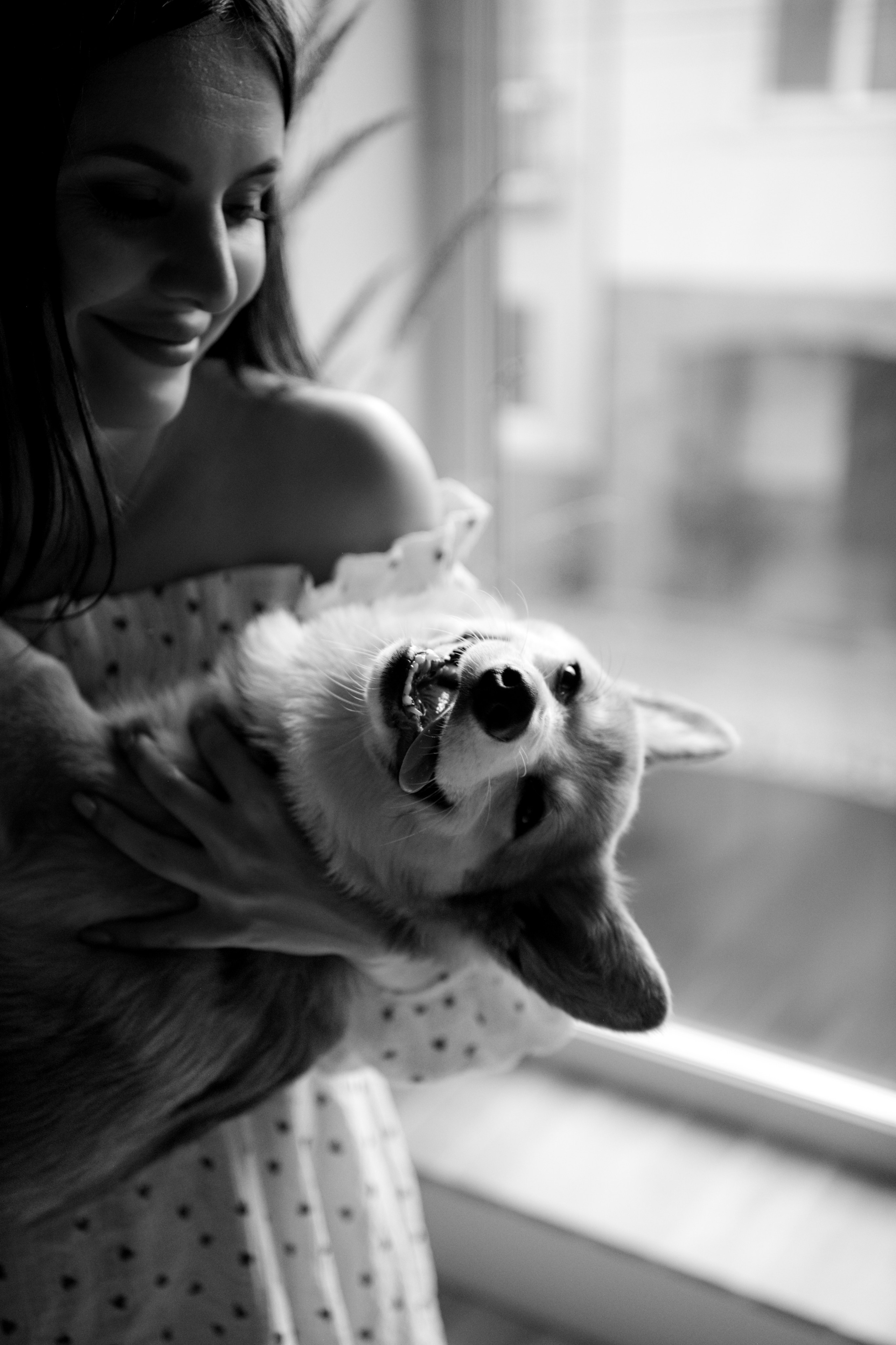 Коргі. Репортажний та сімейний фотограф Дар’я Хорошавцева