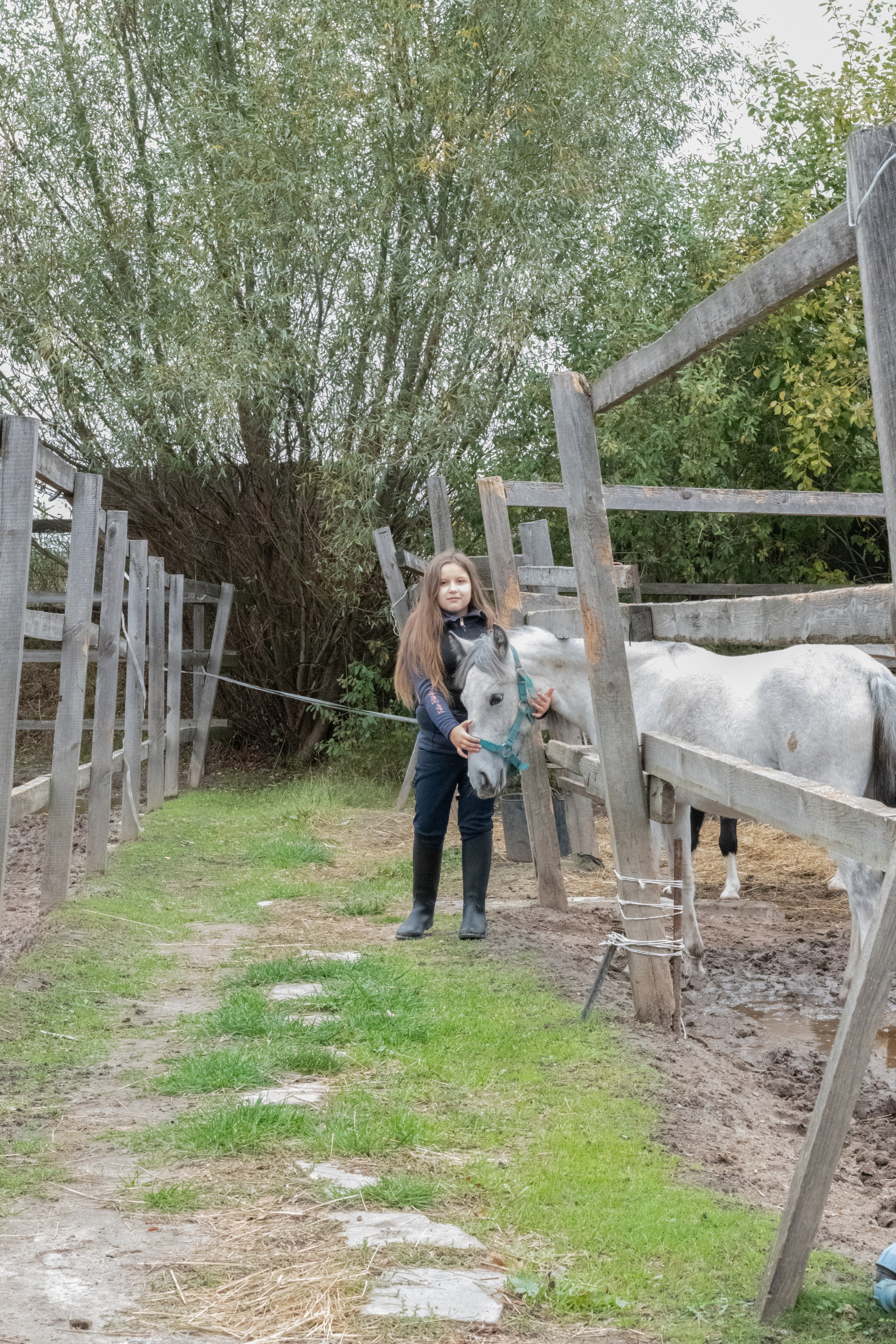 Стефанія. Кінний клуб Balaton. Репортажний та сімейний фотограф Дар’я Хорошавцева