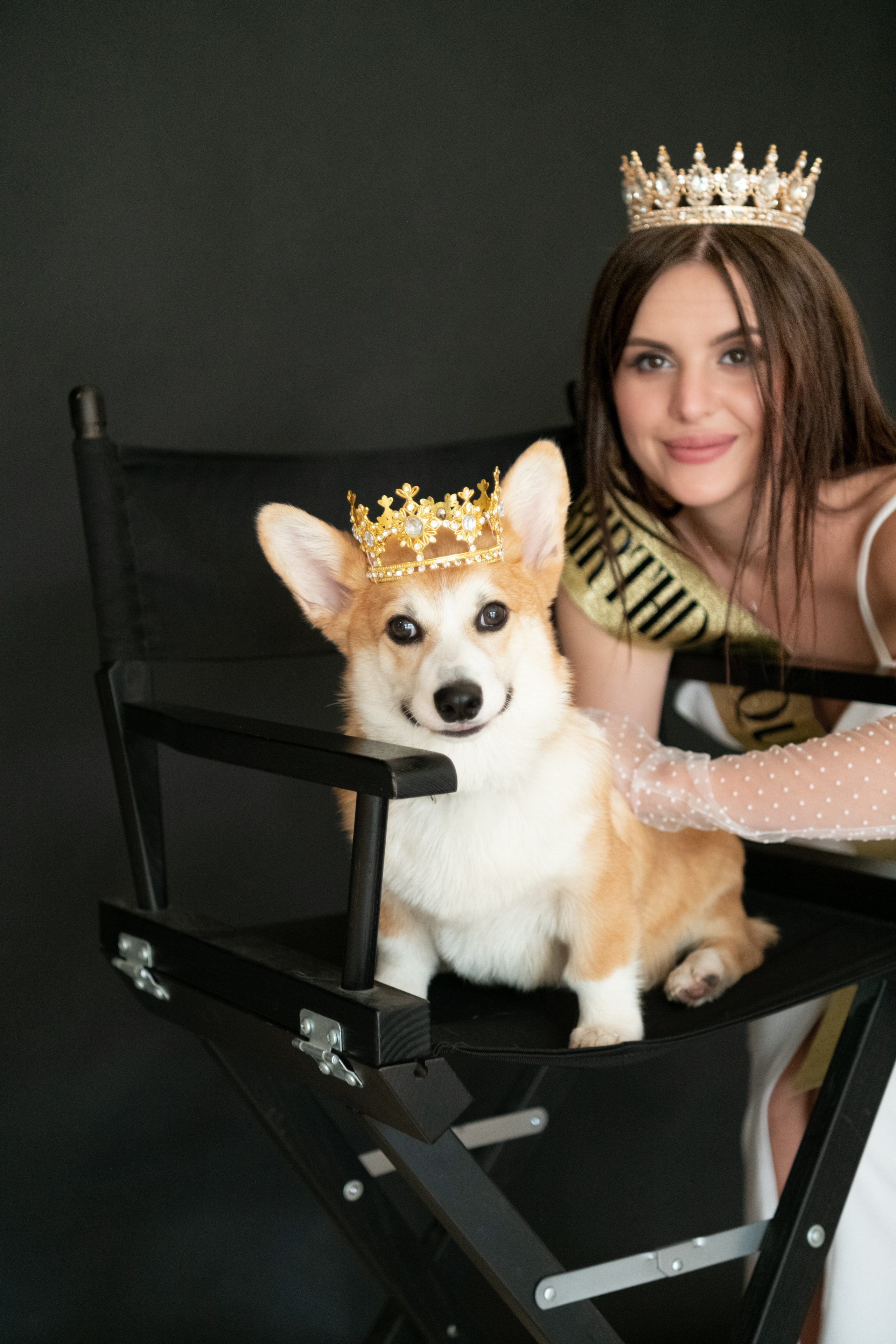 Коргі. Репортажний та сімейний фотограф Дар’я Хорошавцева