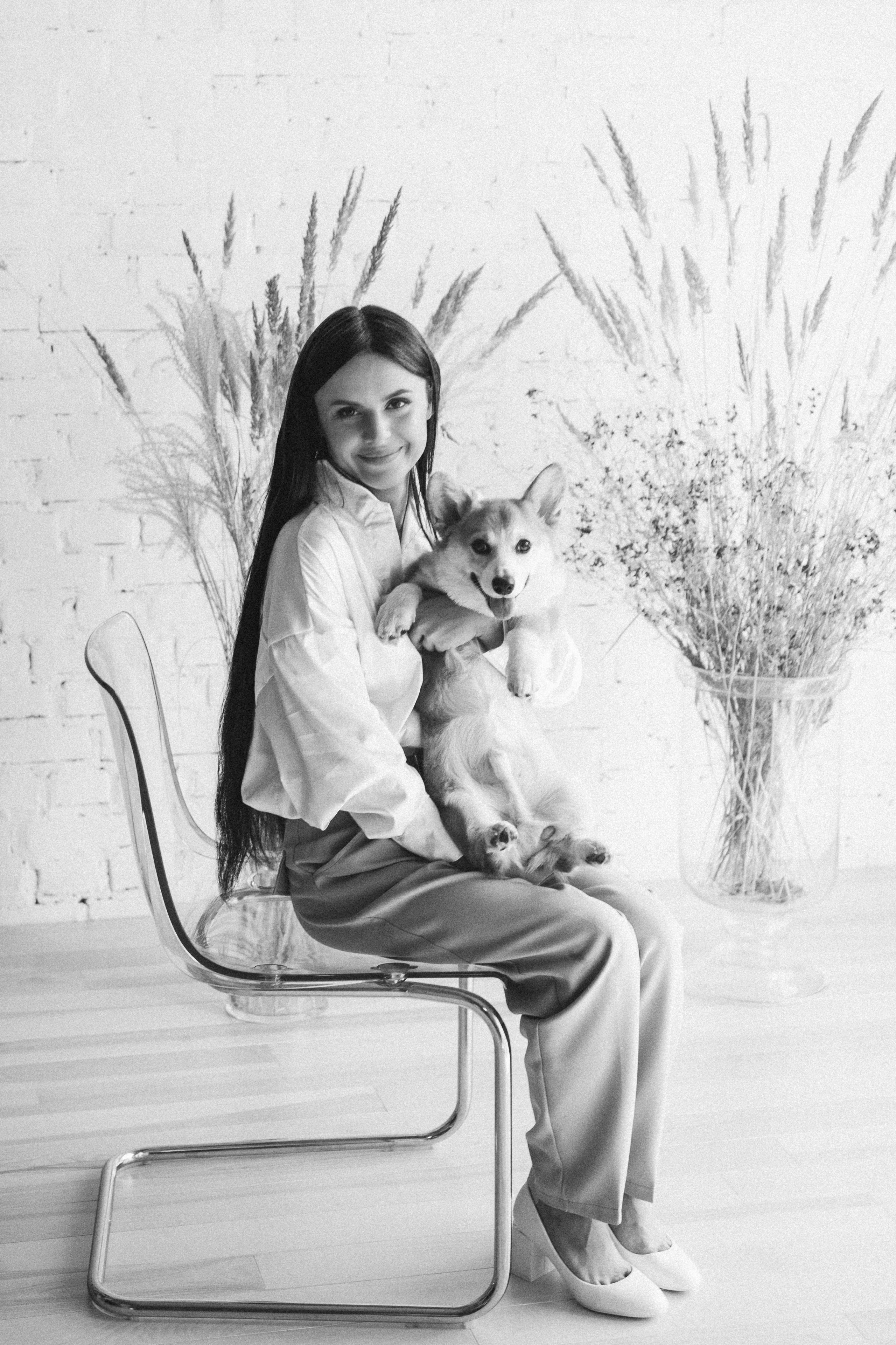 Коргі. Репортажний та сімейний фотограф Дар’я Хорошавцева
