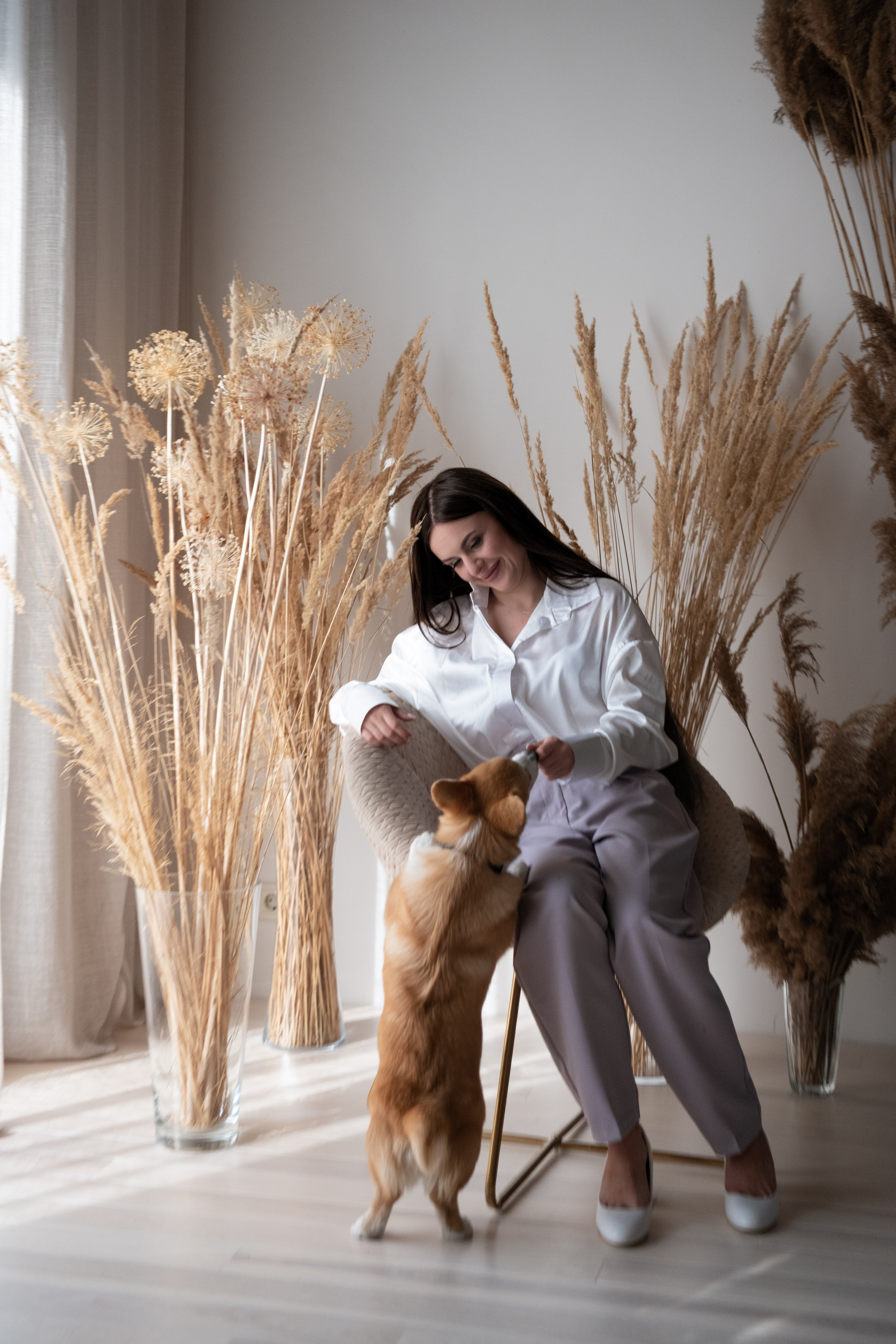 Коргі. Репортажний та сімейний фотограф Дар’я Хорошавцева