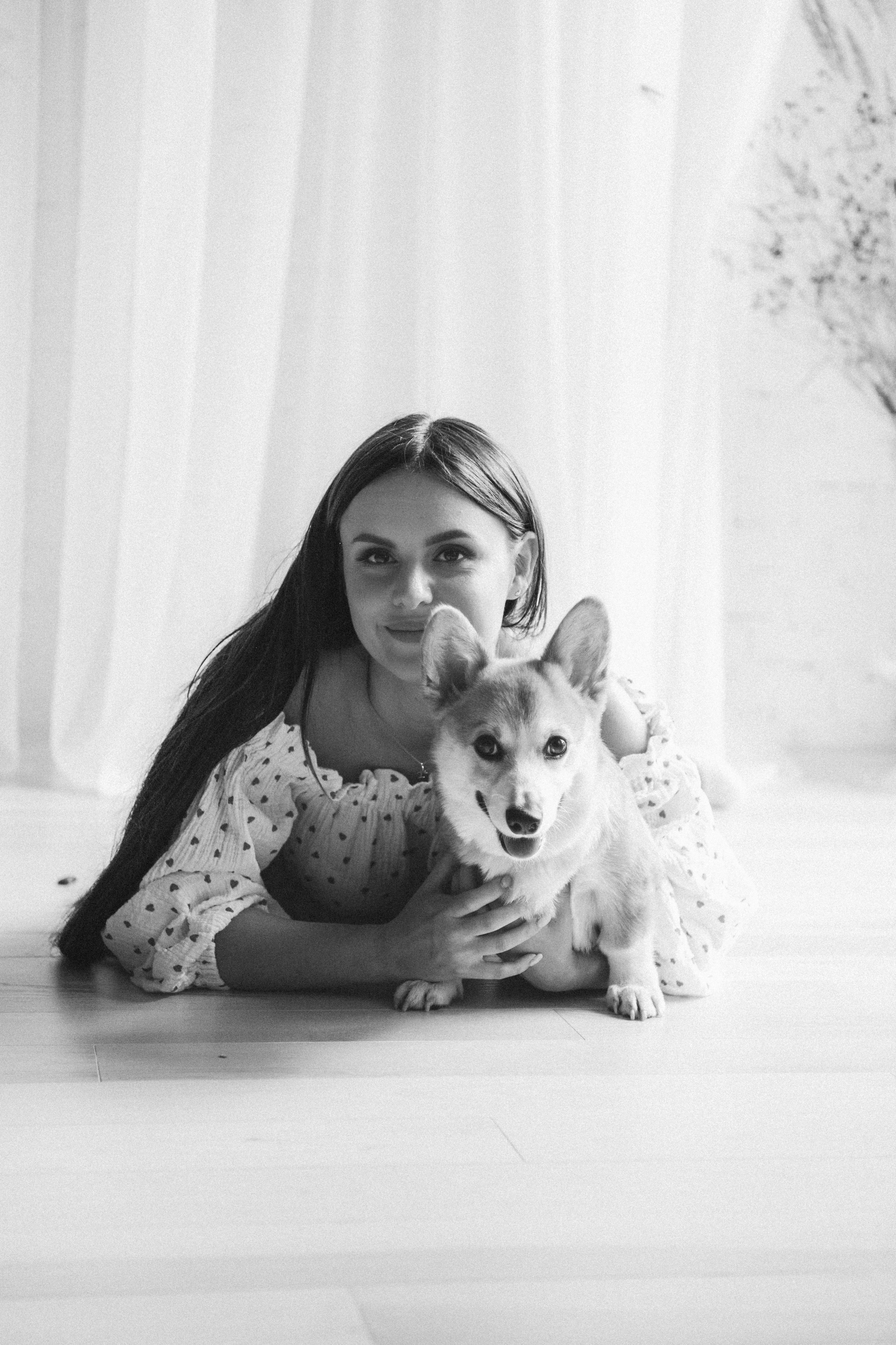 Коргі. Репортажний та сімейний фотограф Дар’я Хорошавцева