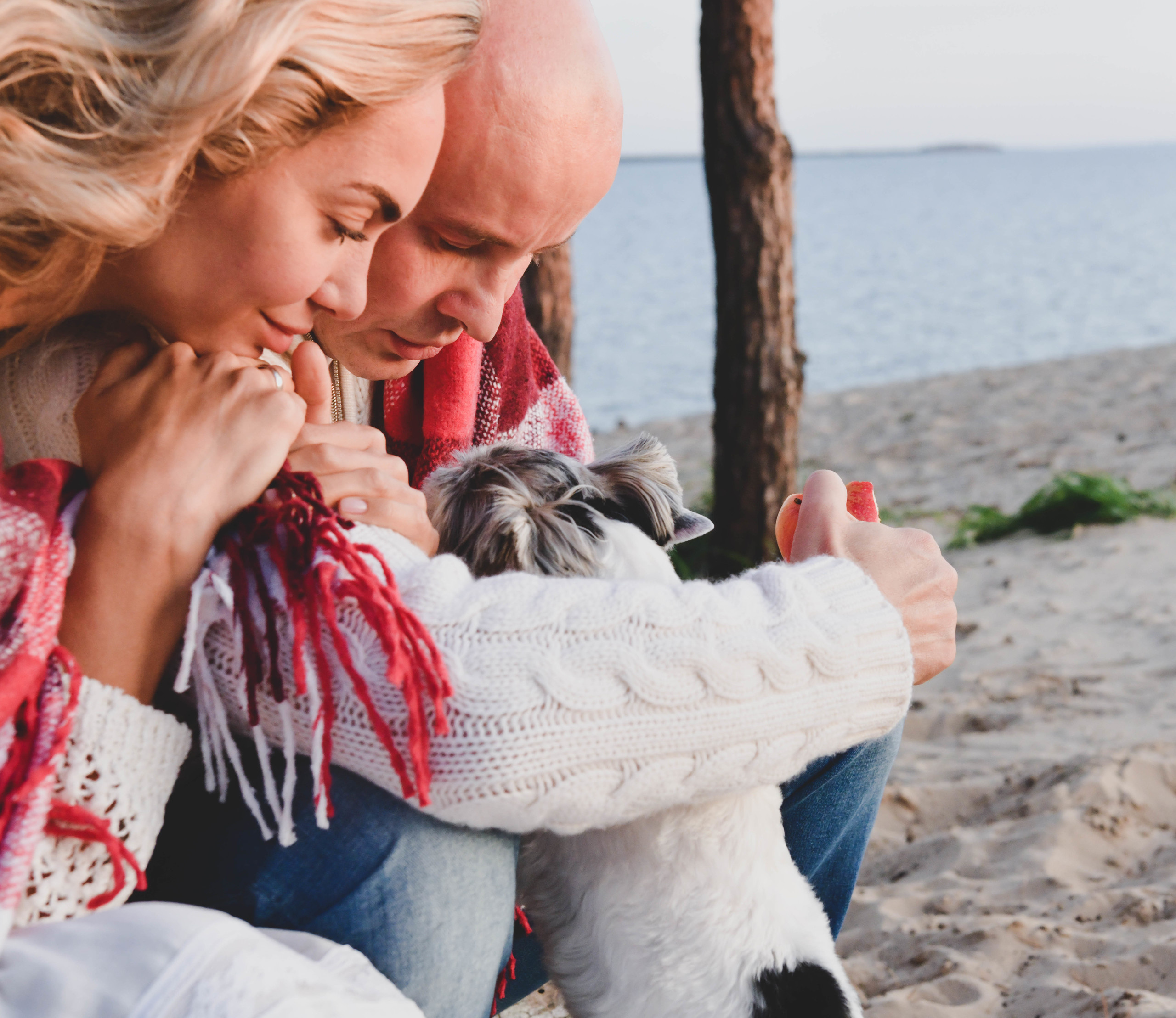 Сергій та  Наталья. Репортажний та сімейний фотограф Дар’я Хорошавцева