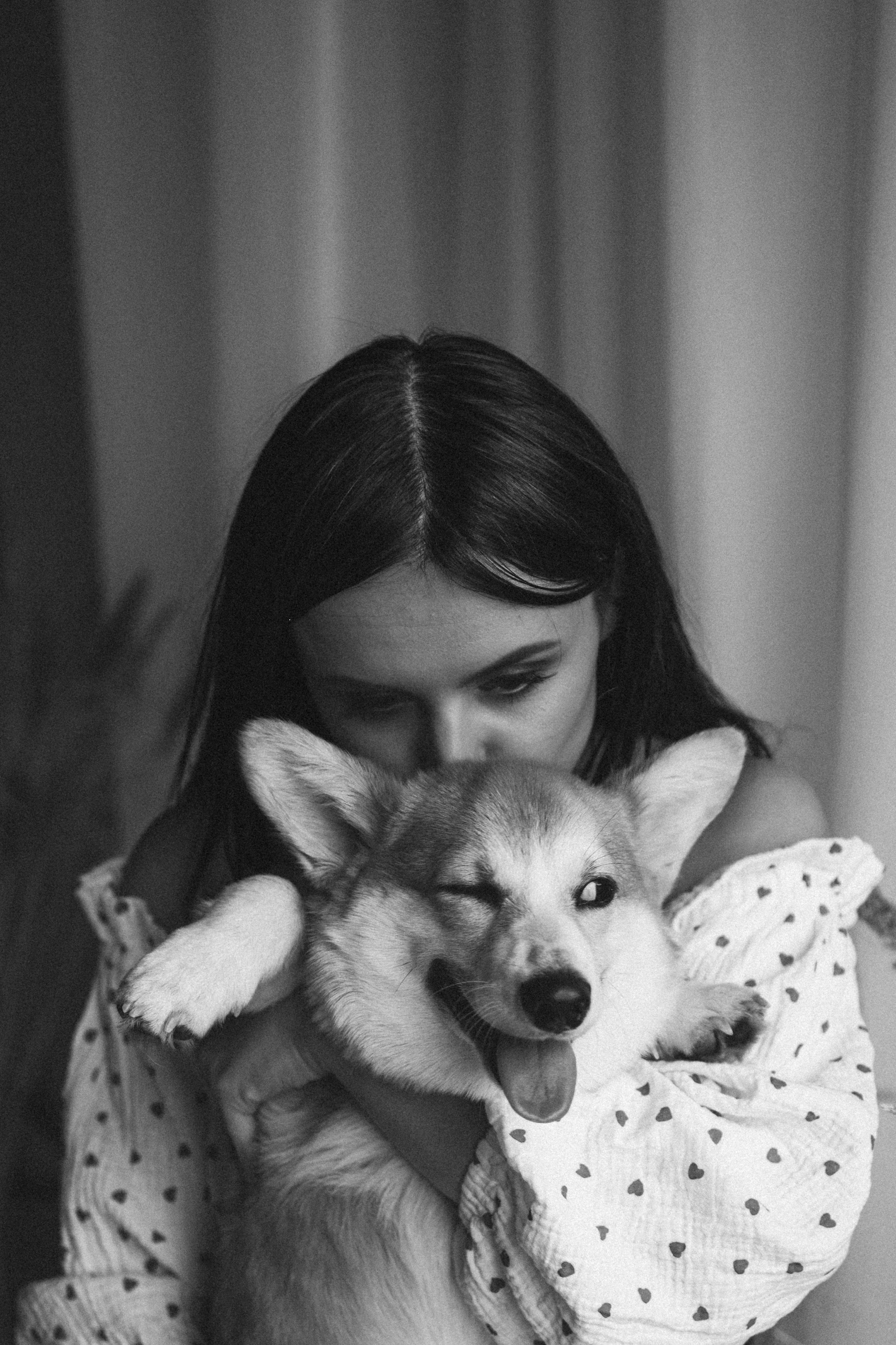 Коргі. Репортажний та сімейний фотограф Дар’я Хорошавцева