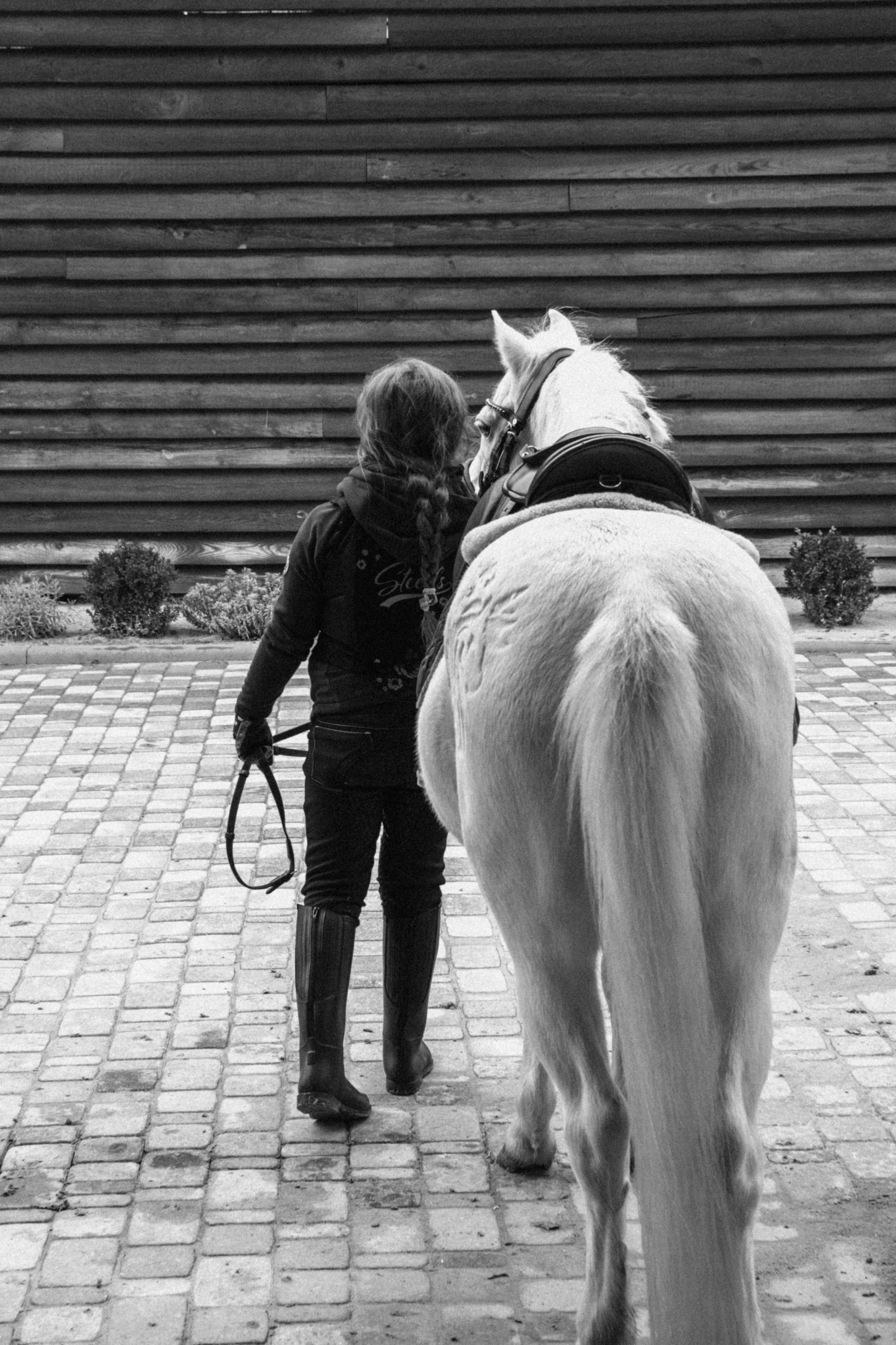 Стефанія. Кінний клуб Balaton. Репортажний та сімейний фотограф Дар’я Хорошавцева